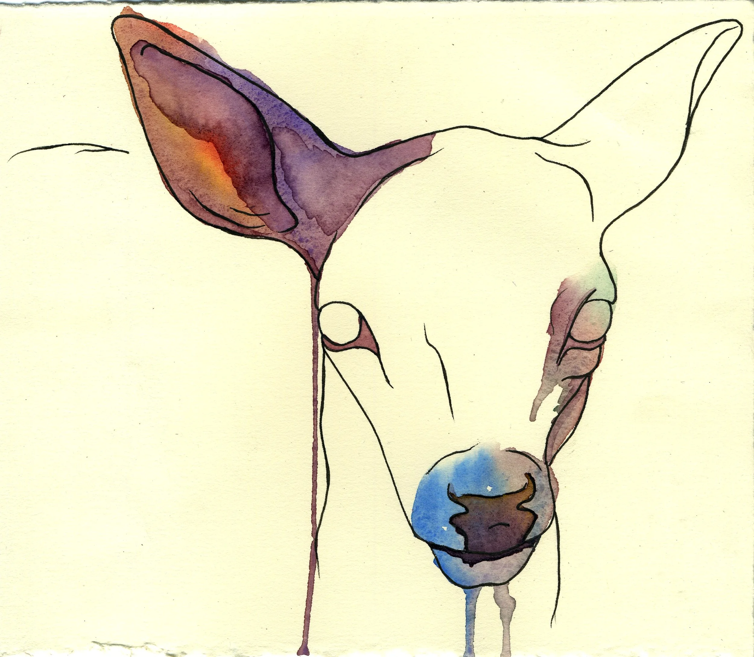 Drain X: watercolor and pen, 9 X 7 inches