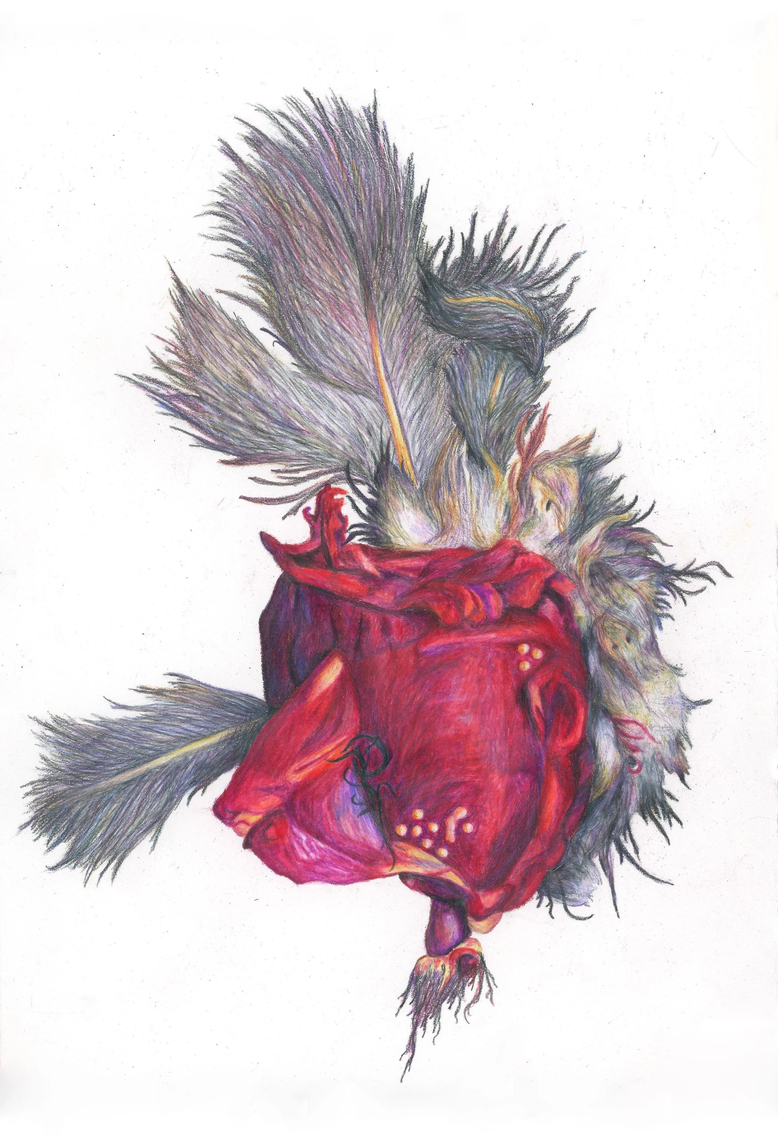 Precious: colored pencil, 22 X 9 inches