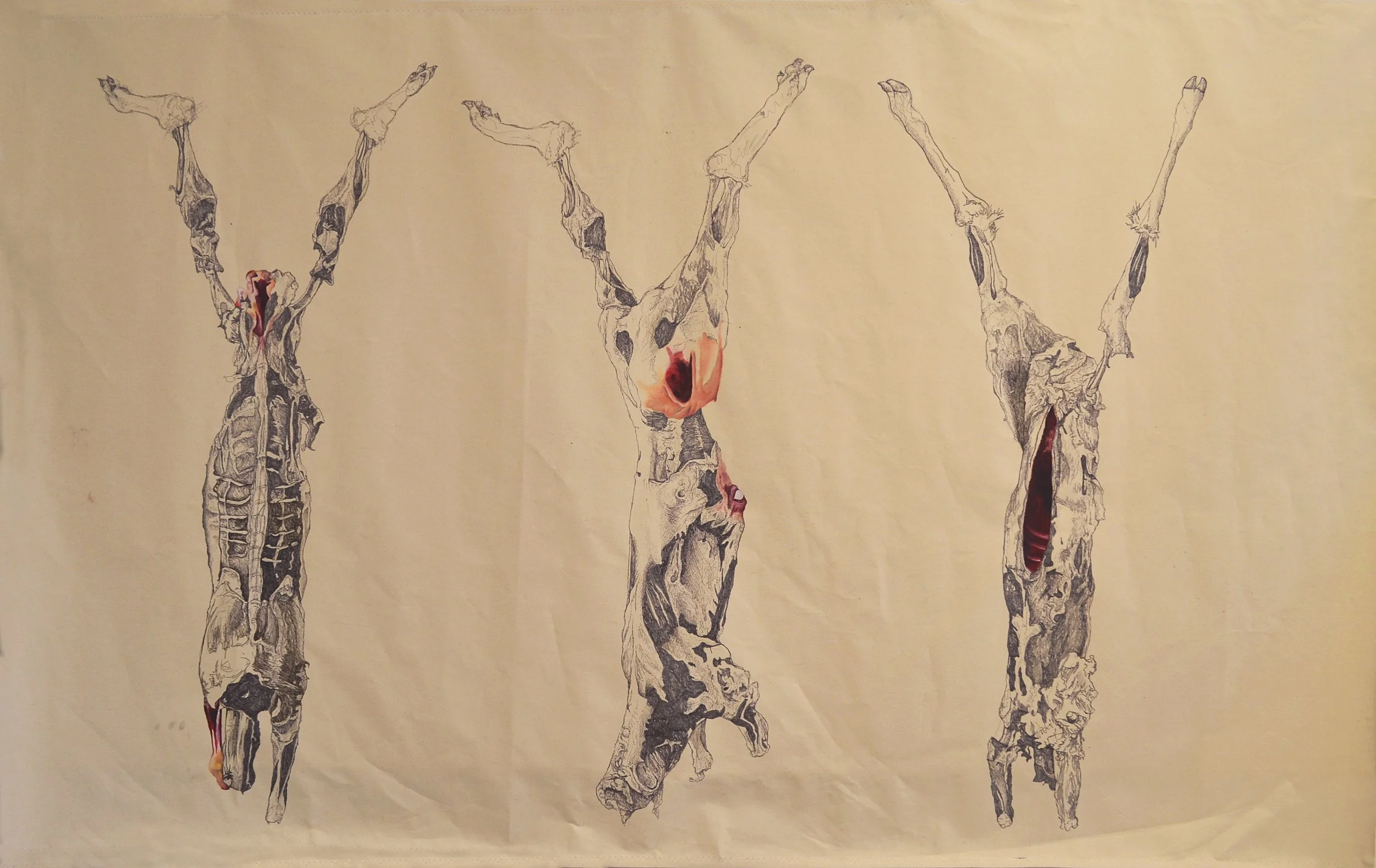 Untitled: pen, marker, and oil on raw unstretched canvas, 53 X 80 inches