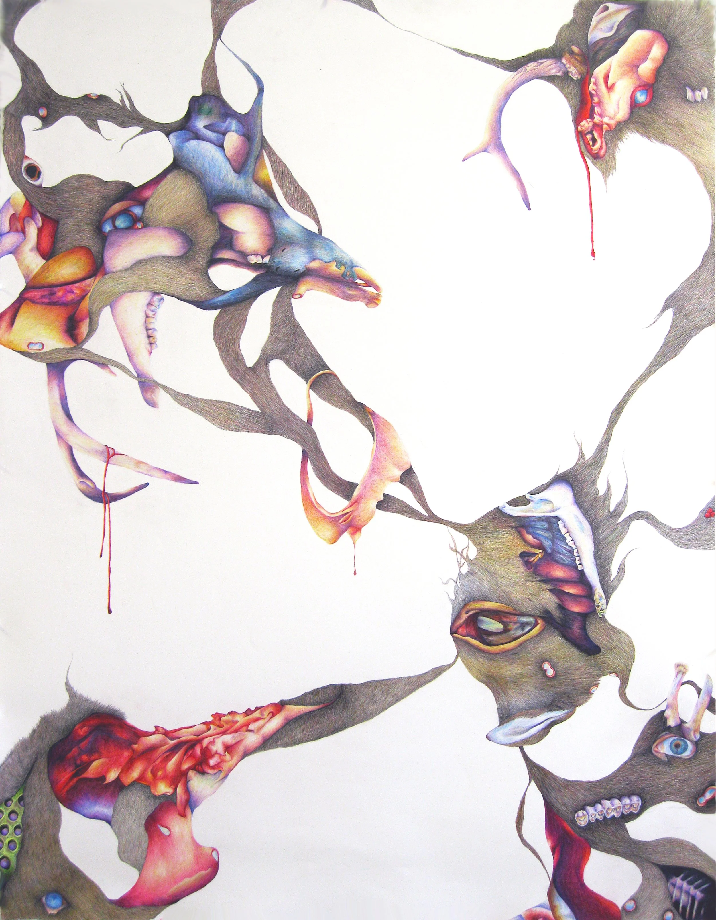 Feral Sublimations: colored pencil, 50 X 38 inches