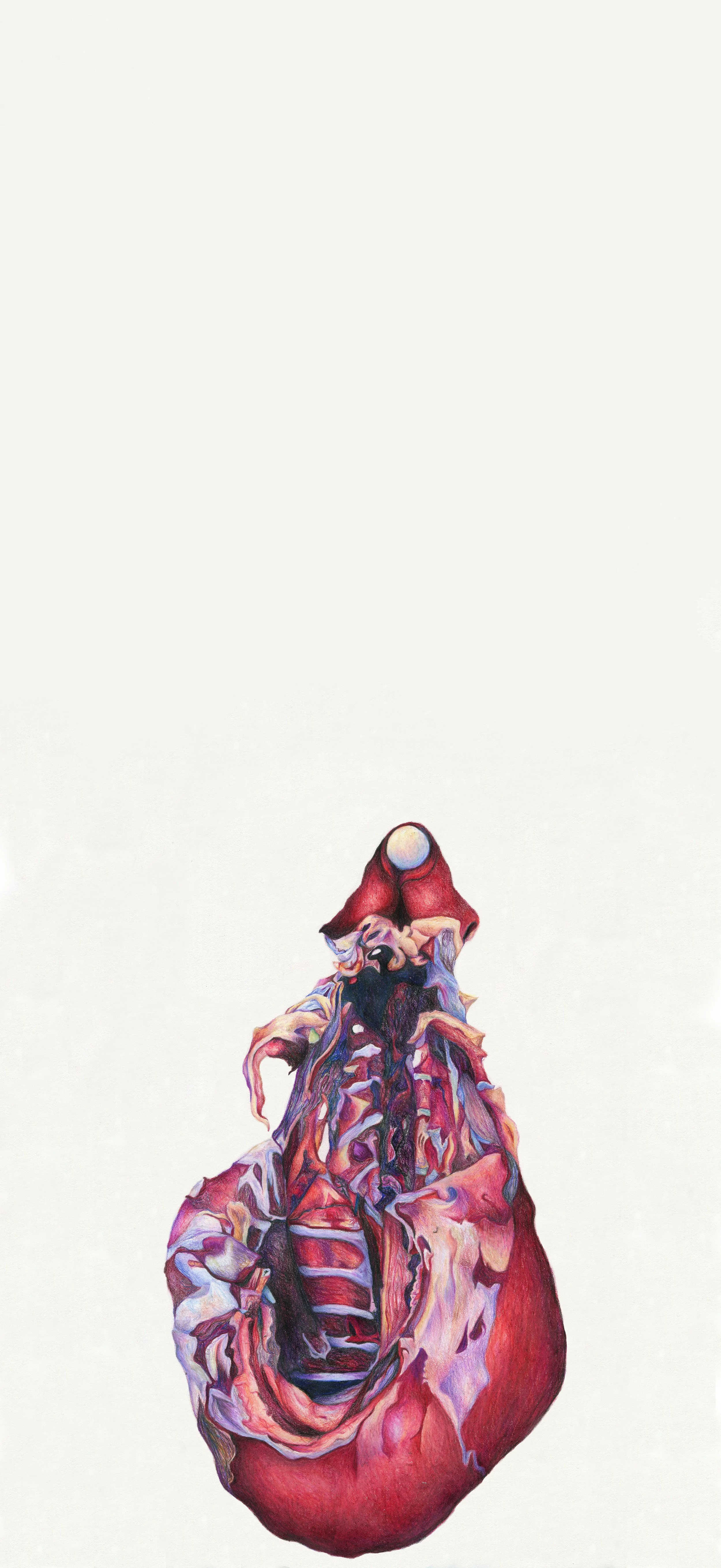 Vessel: colored pencil, 25 X 11.5 inches, 2014