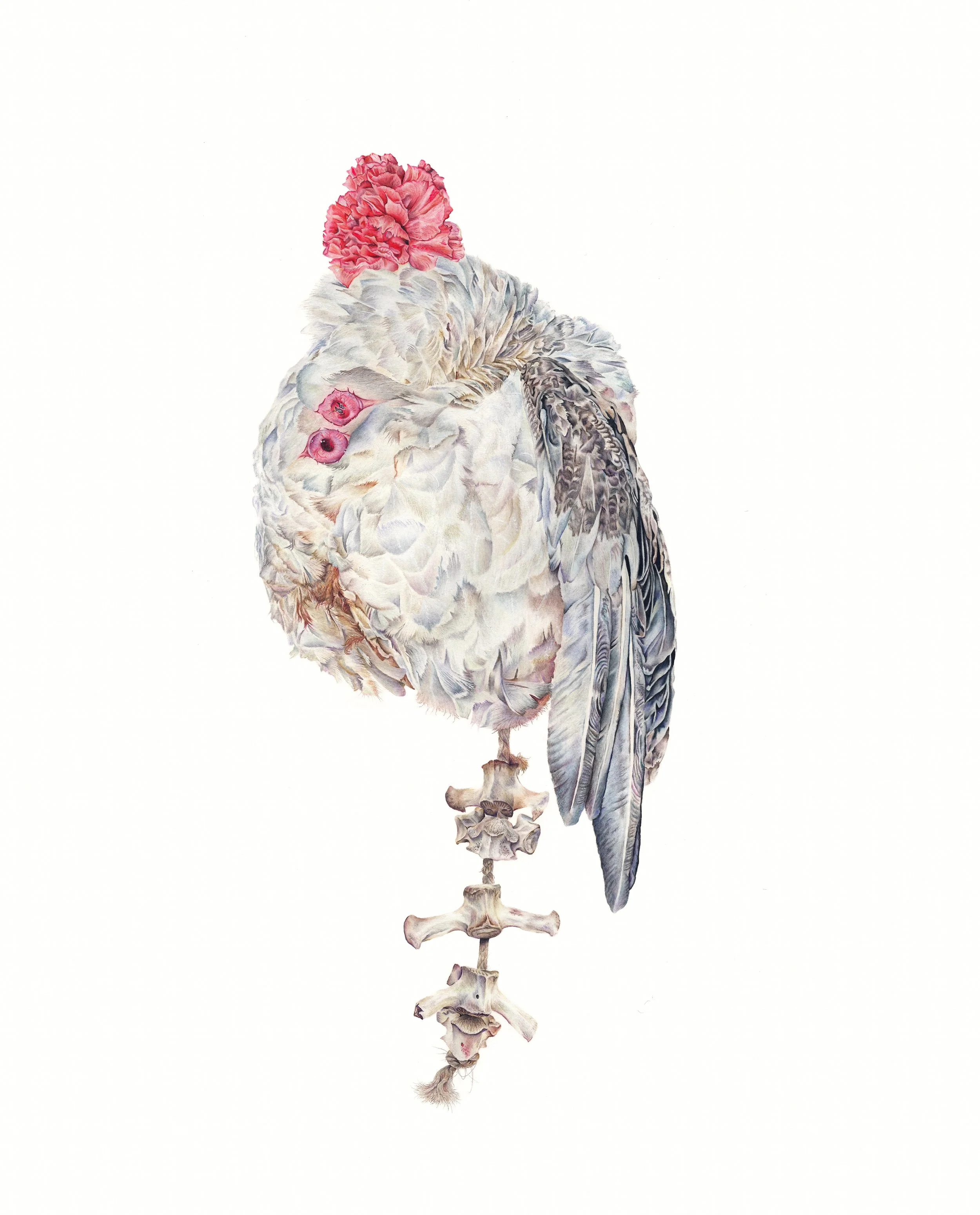 Tulpa: colored pencil, 30 X 25 inches