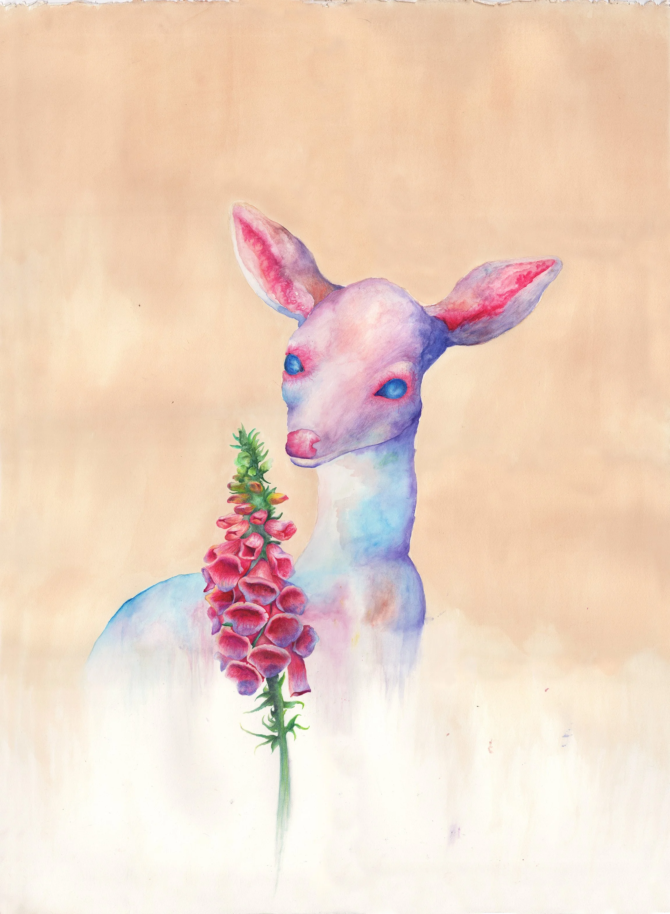 Harmful Healing: watercolor, gouache, colored pencil, tea, 30 X 22 inches, 2011