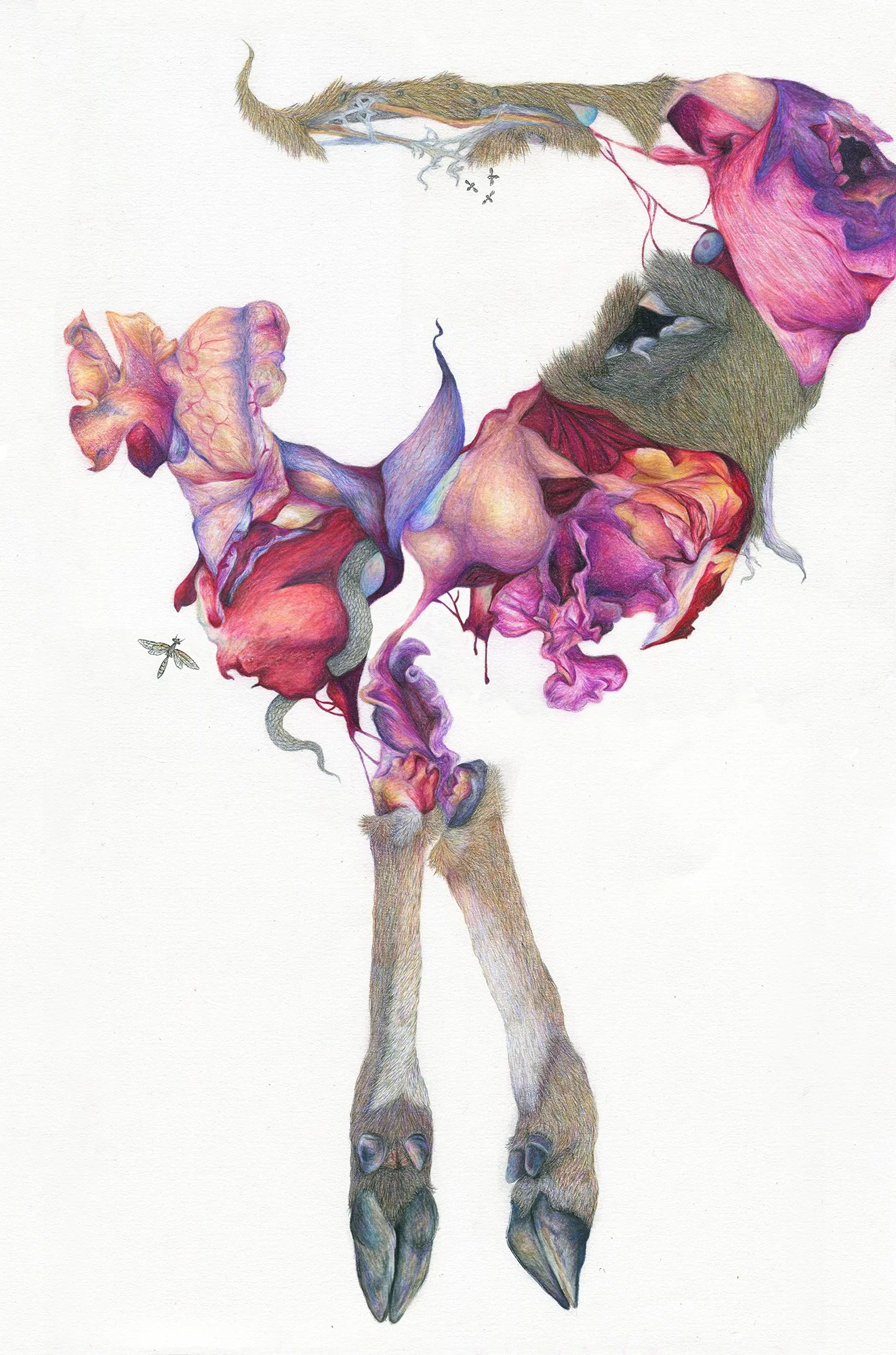 Fruition: colored pencil, 22 X 15 inches