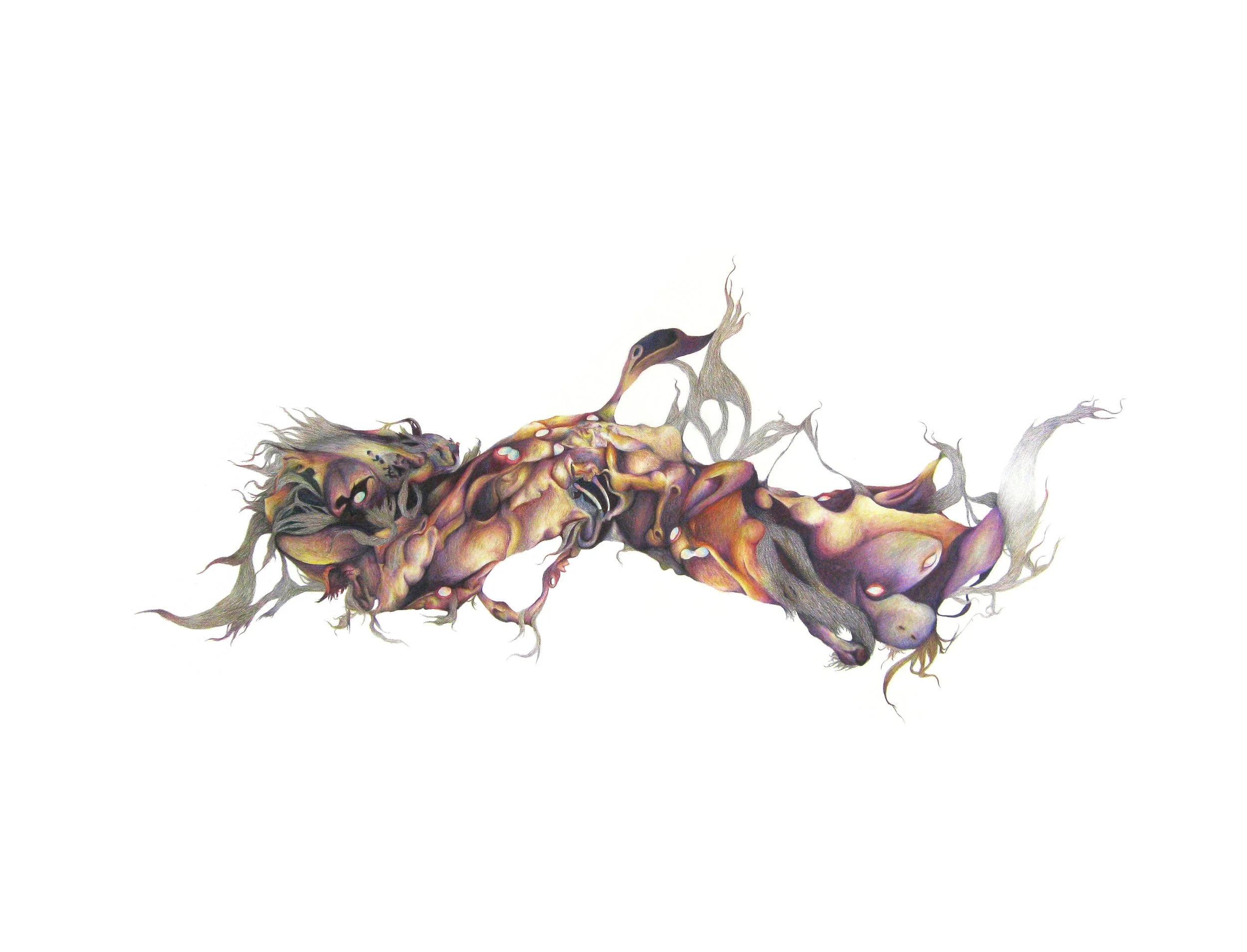 [de]formation: colored pencil, 38 X 50 inches