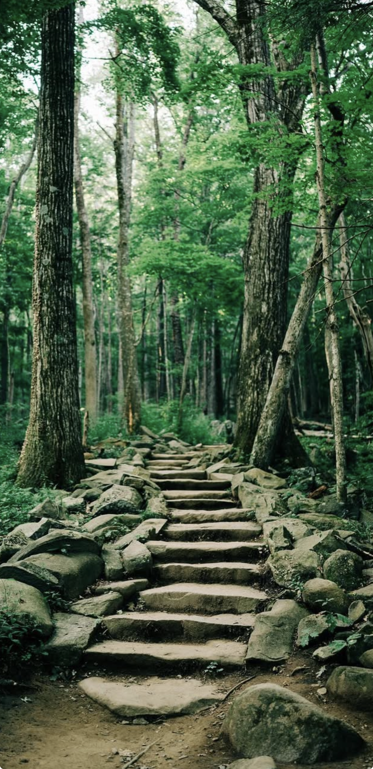 The Improv Ladder: 5 Levels of Jazz Improvisation No One Teaches