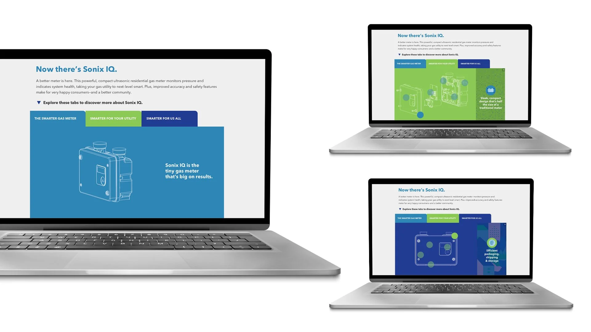 Sensus interactive Infographic