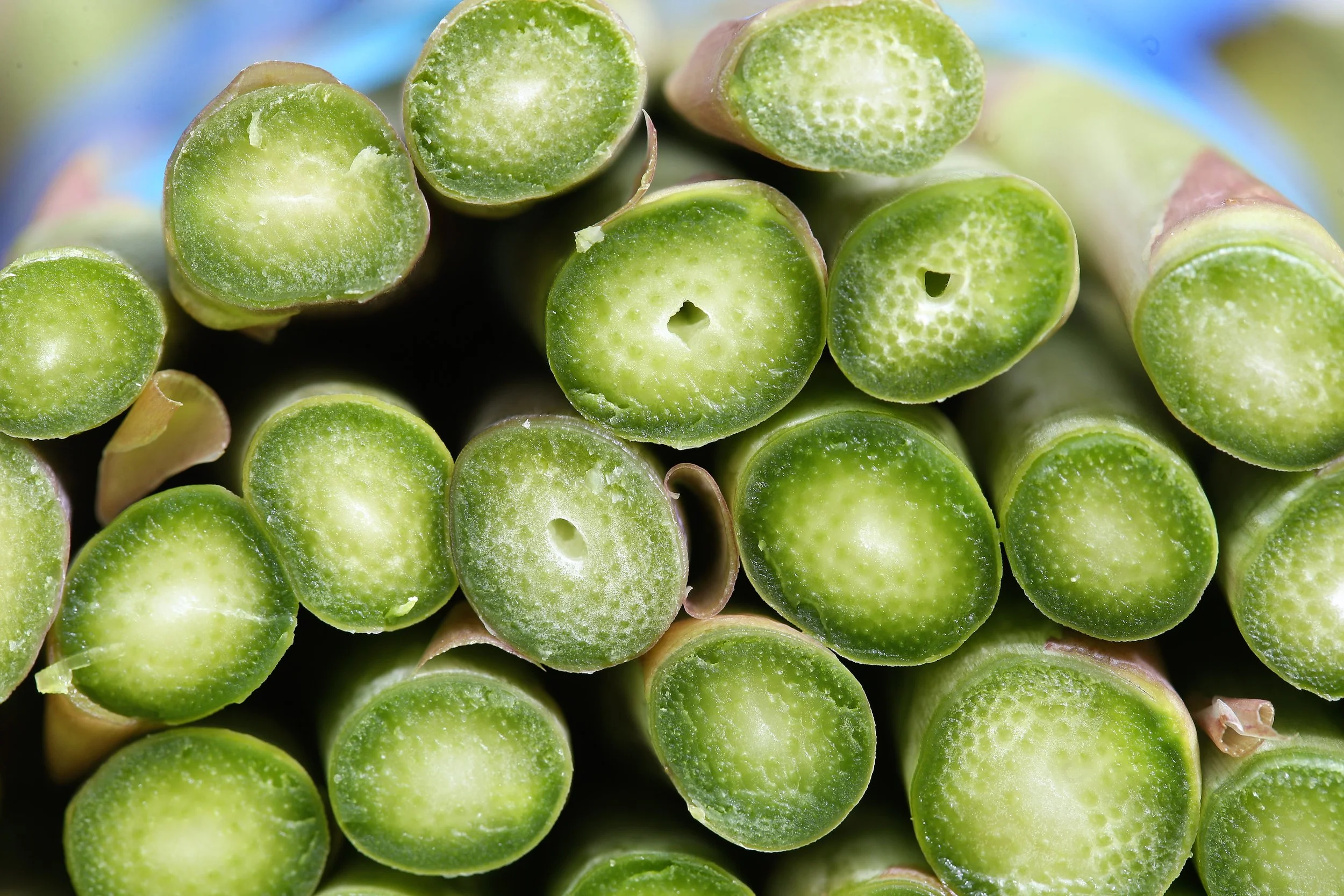 ASPARAGUS_1.jpg