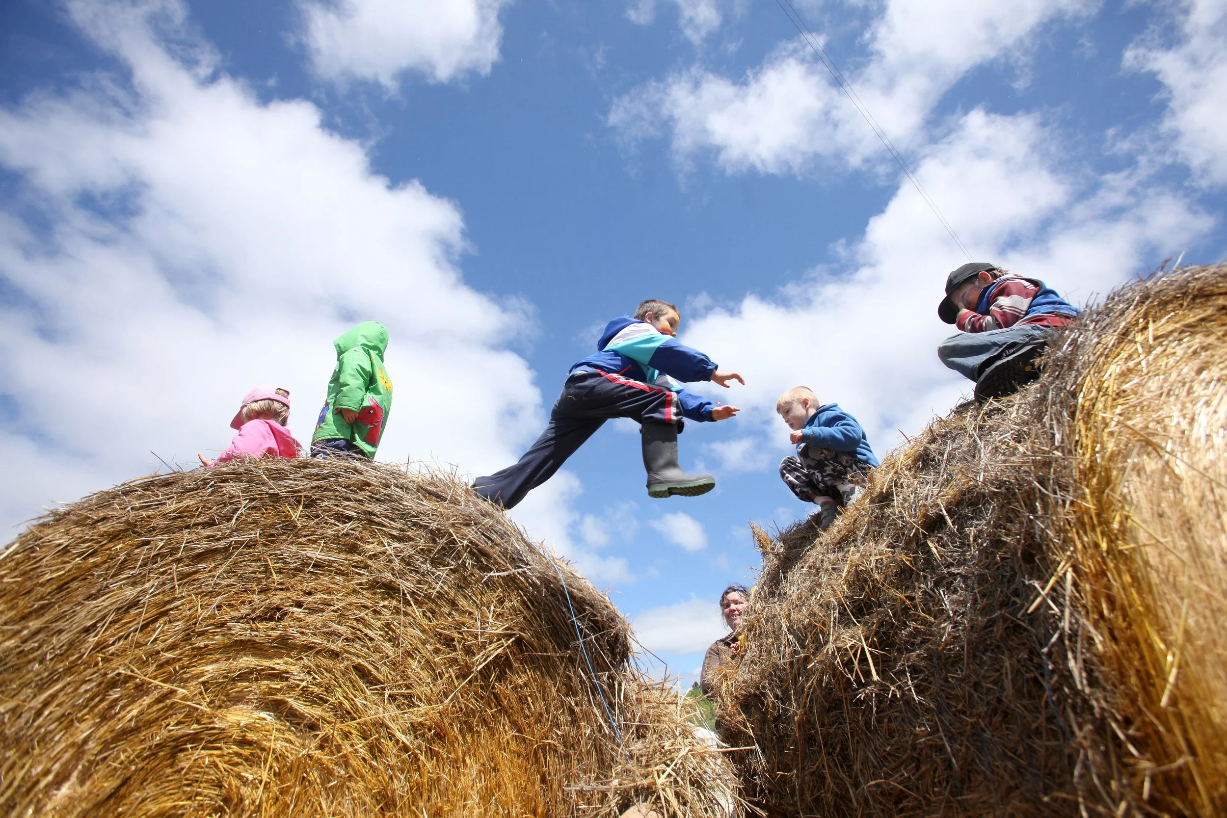 sv diy homesteader 3.jpg