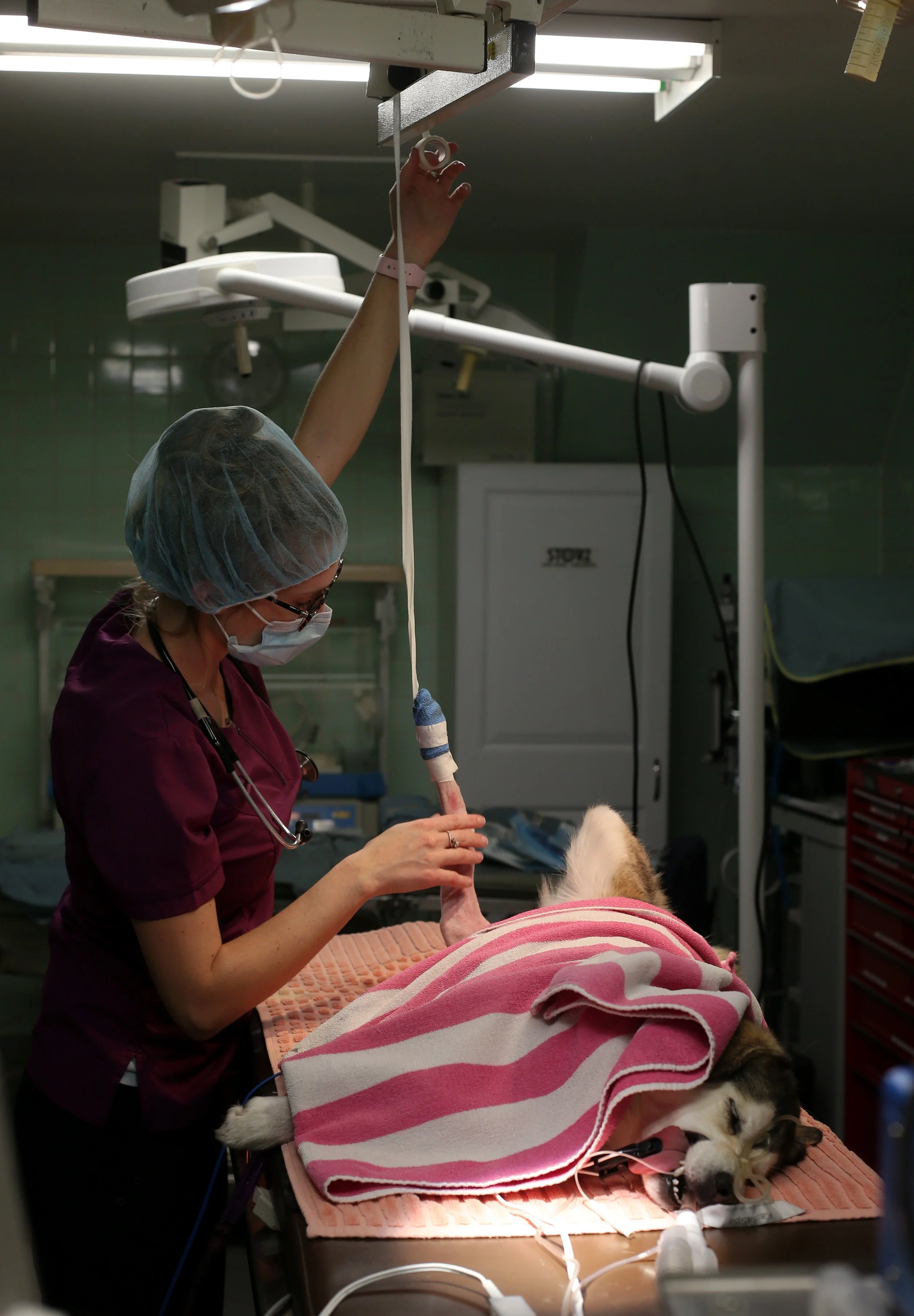 ANIMAL HOSPITAL_48.jpg