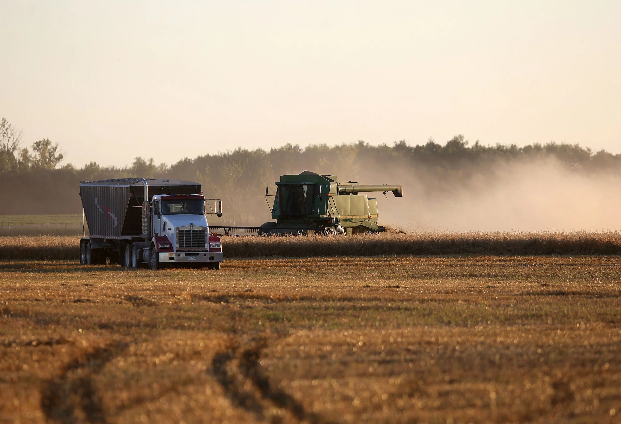 sv, oats harvest 4.jpg