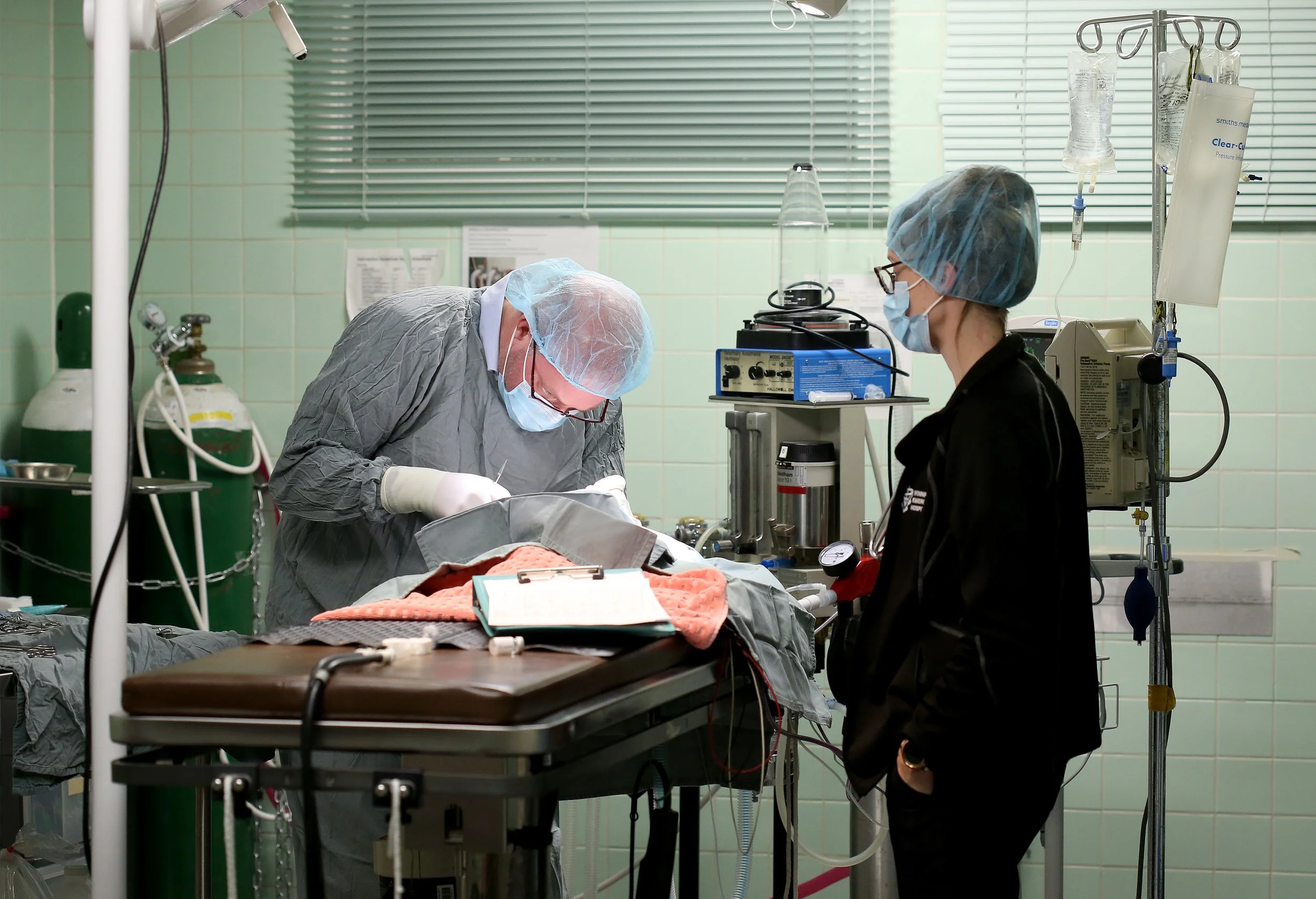 ANIMAL HOSPITAL_27.jpg