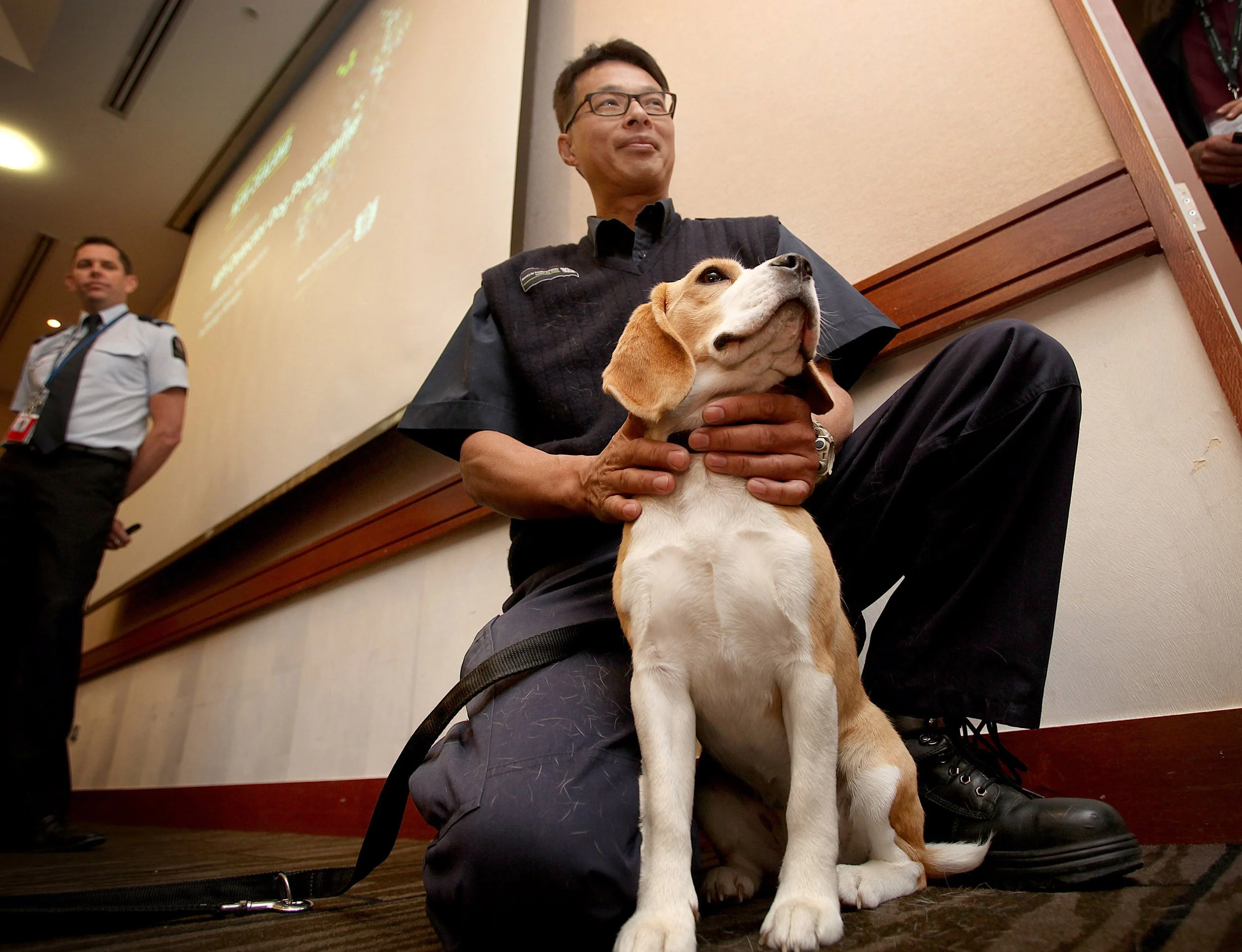 20151105_News Photograph_Beagles protect biodiversity.jpg