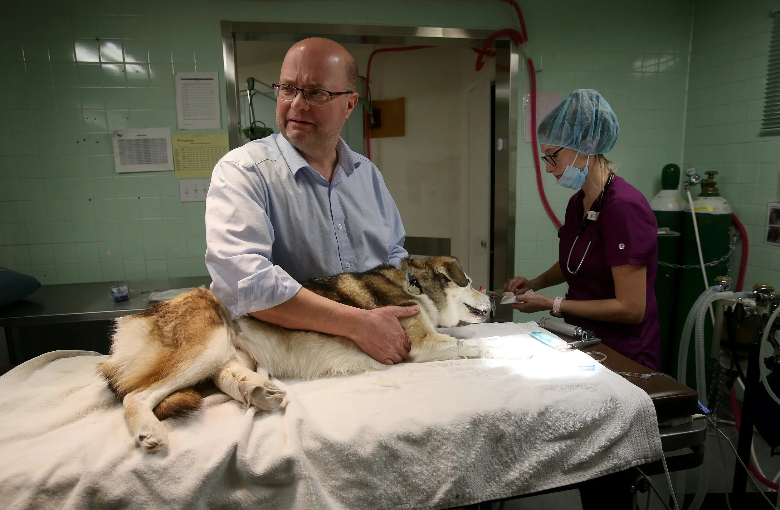 ANIMAL HOSPITAL_28.jpg