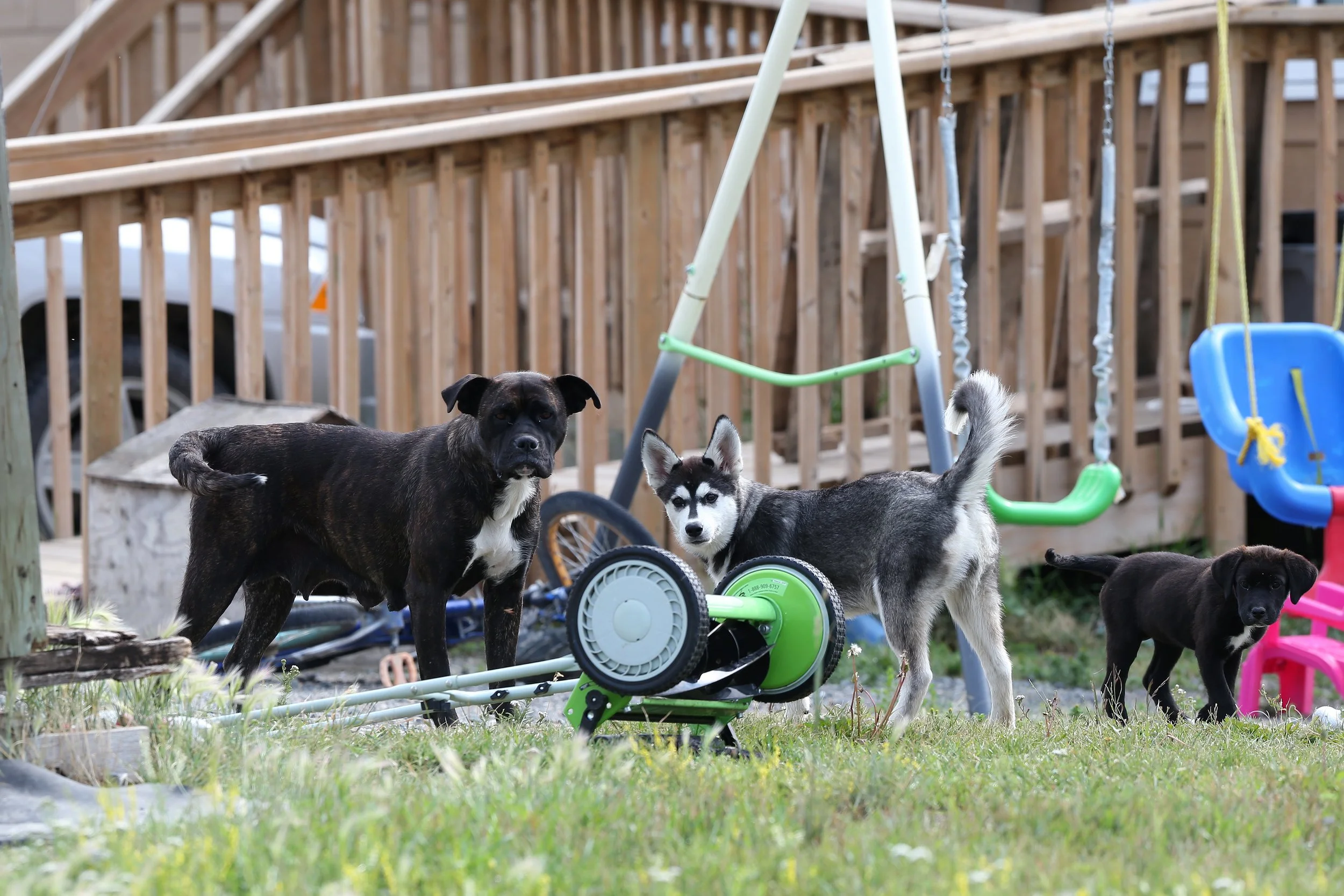 Northern Remote_157.jpg