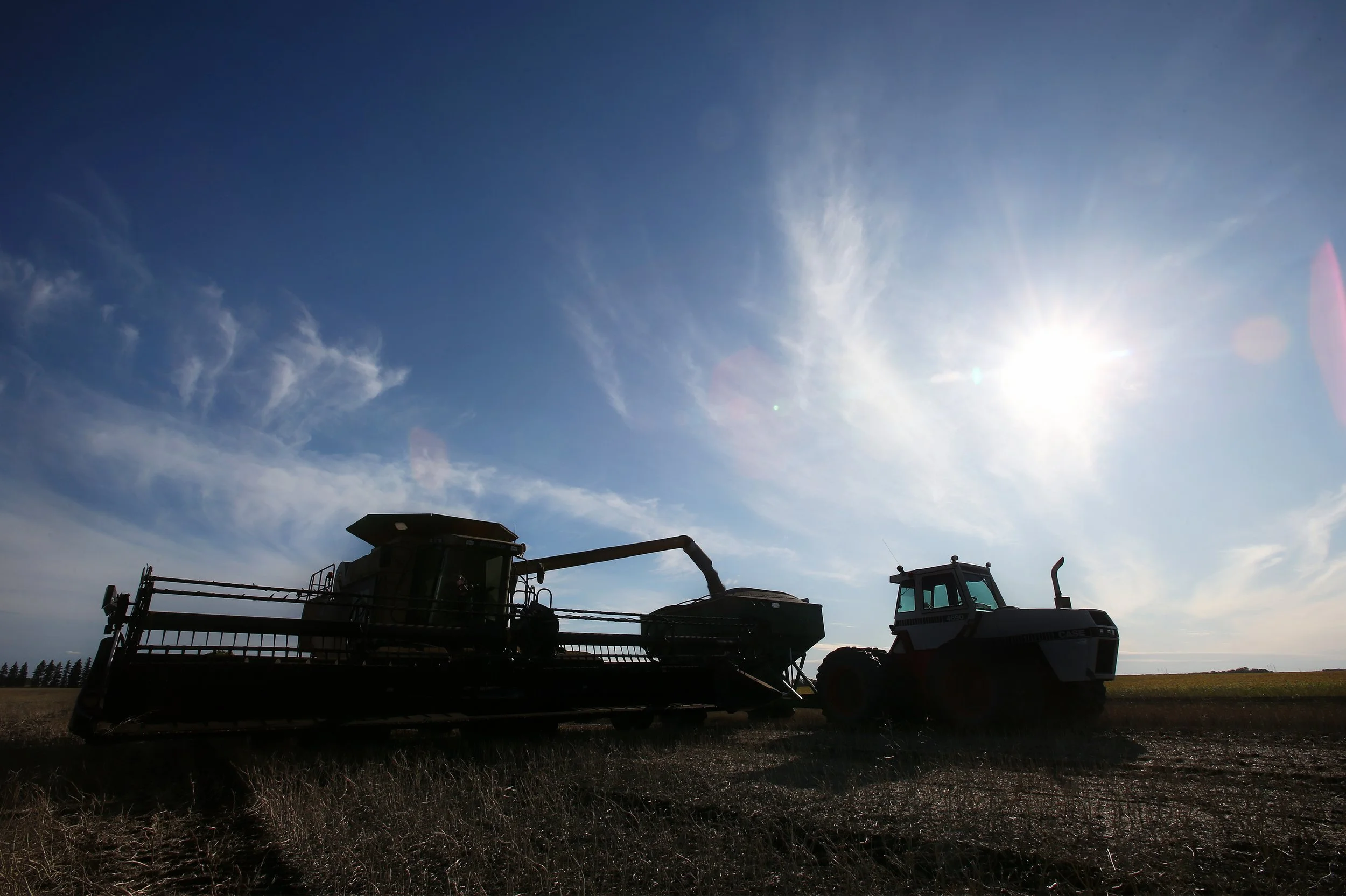CANOLA HARVEST_MB_SVR_28.jpg