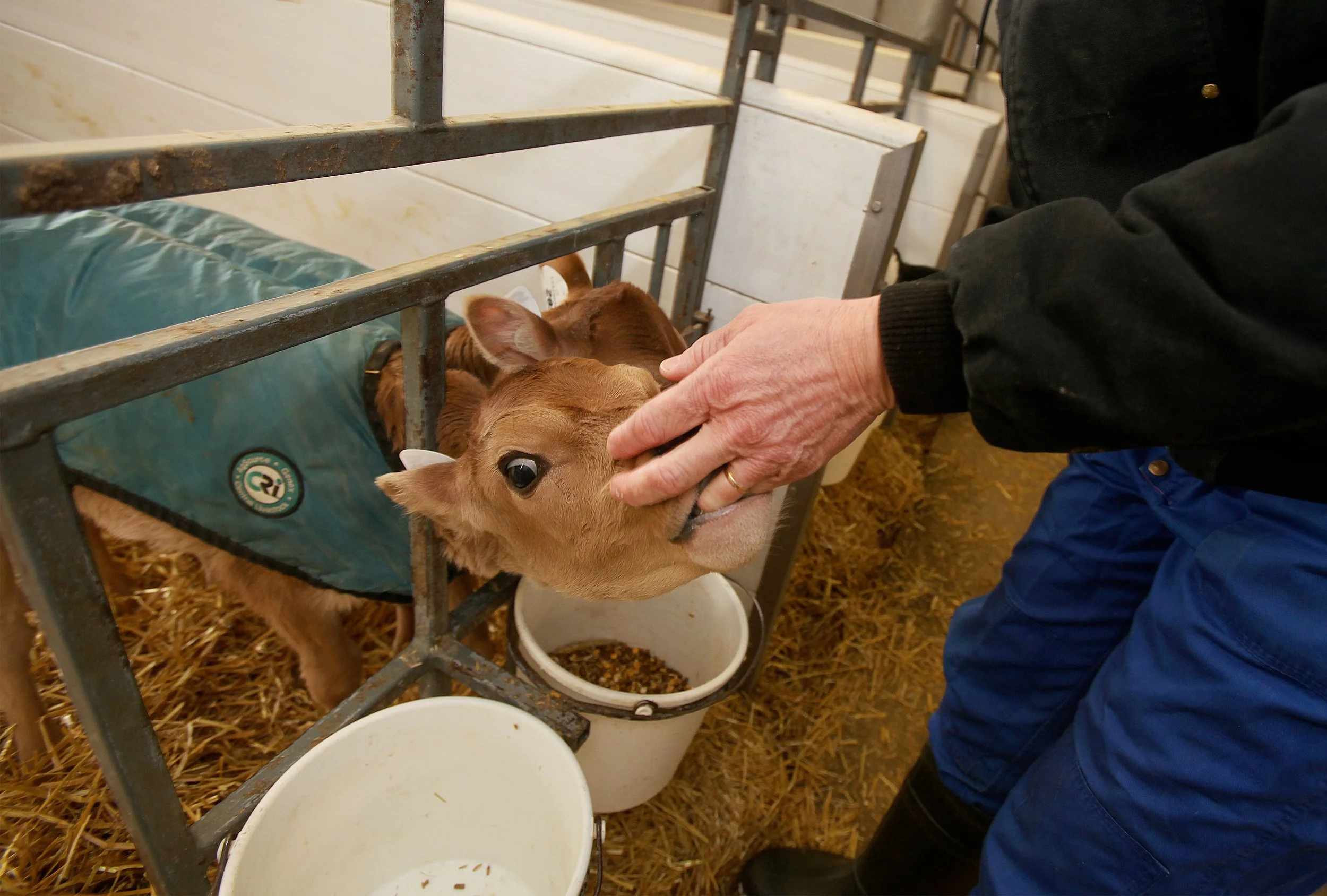 sv sweetridge farm 6.jpg