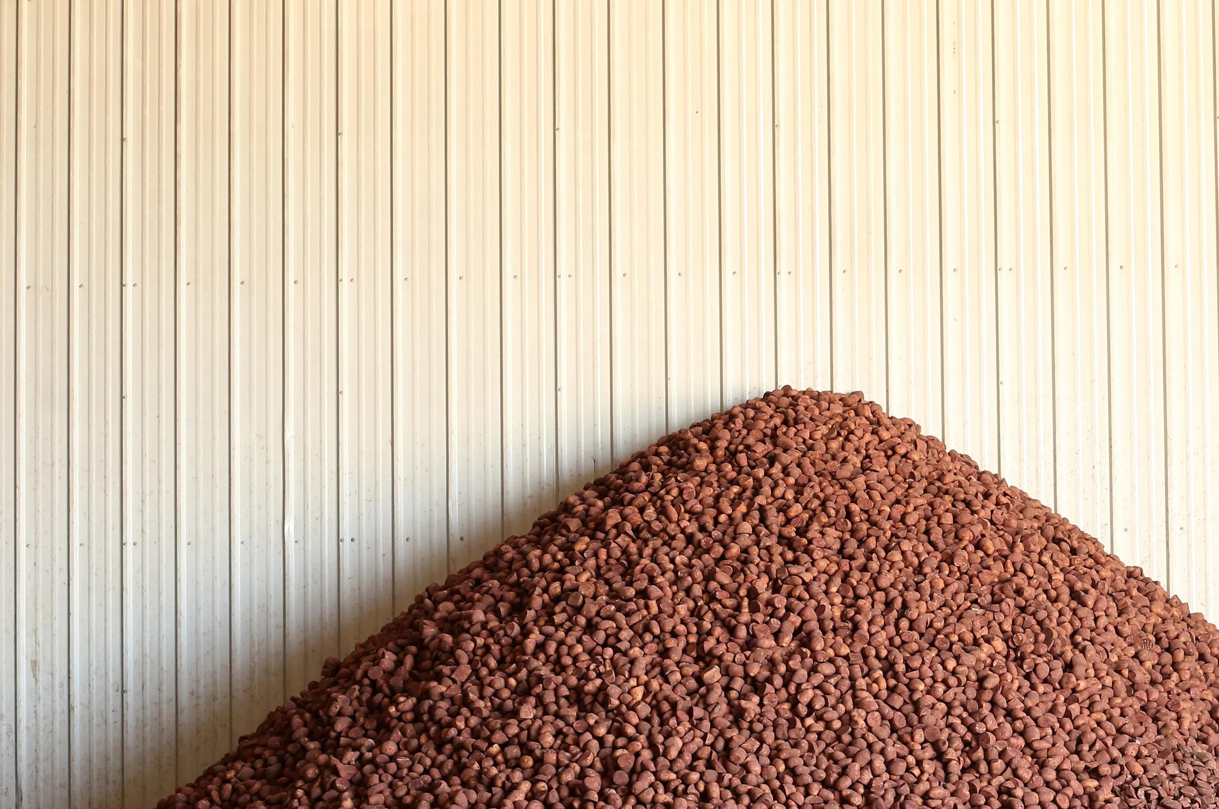 Potato_seeding_27 hh.jpg