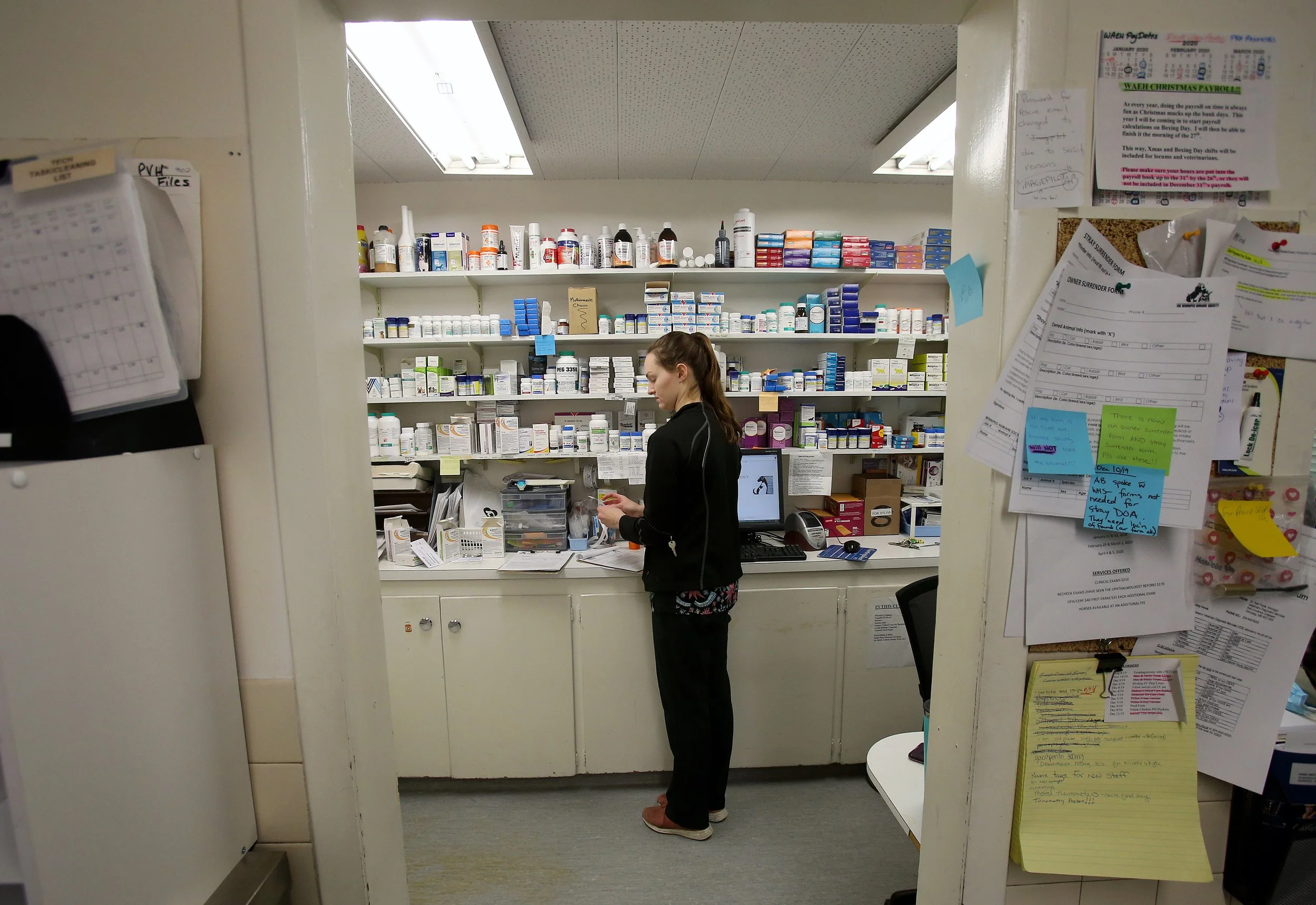 ANIMAL HOSPITAL_18.jpg