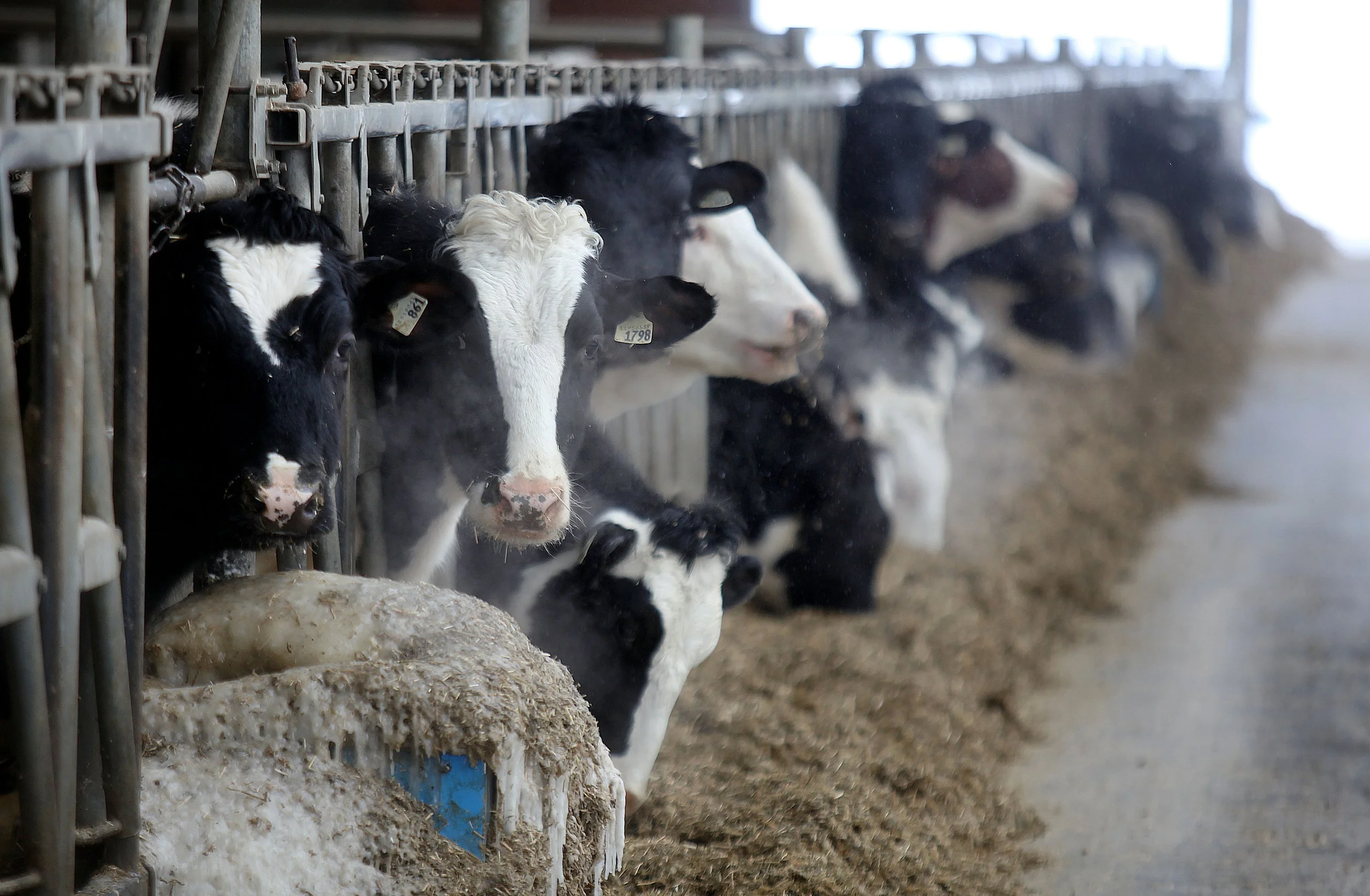 sv sweetridge farm 17.jpg