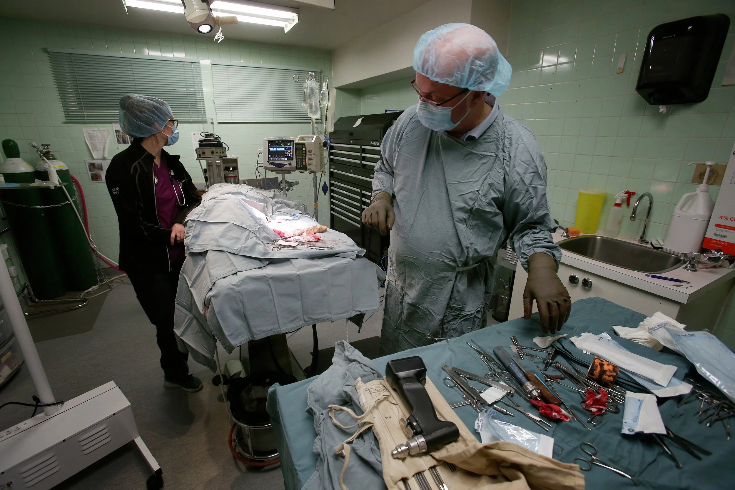 ANIMAL HOSPITAL_30.jpg