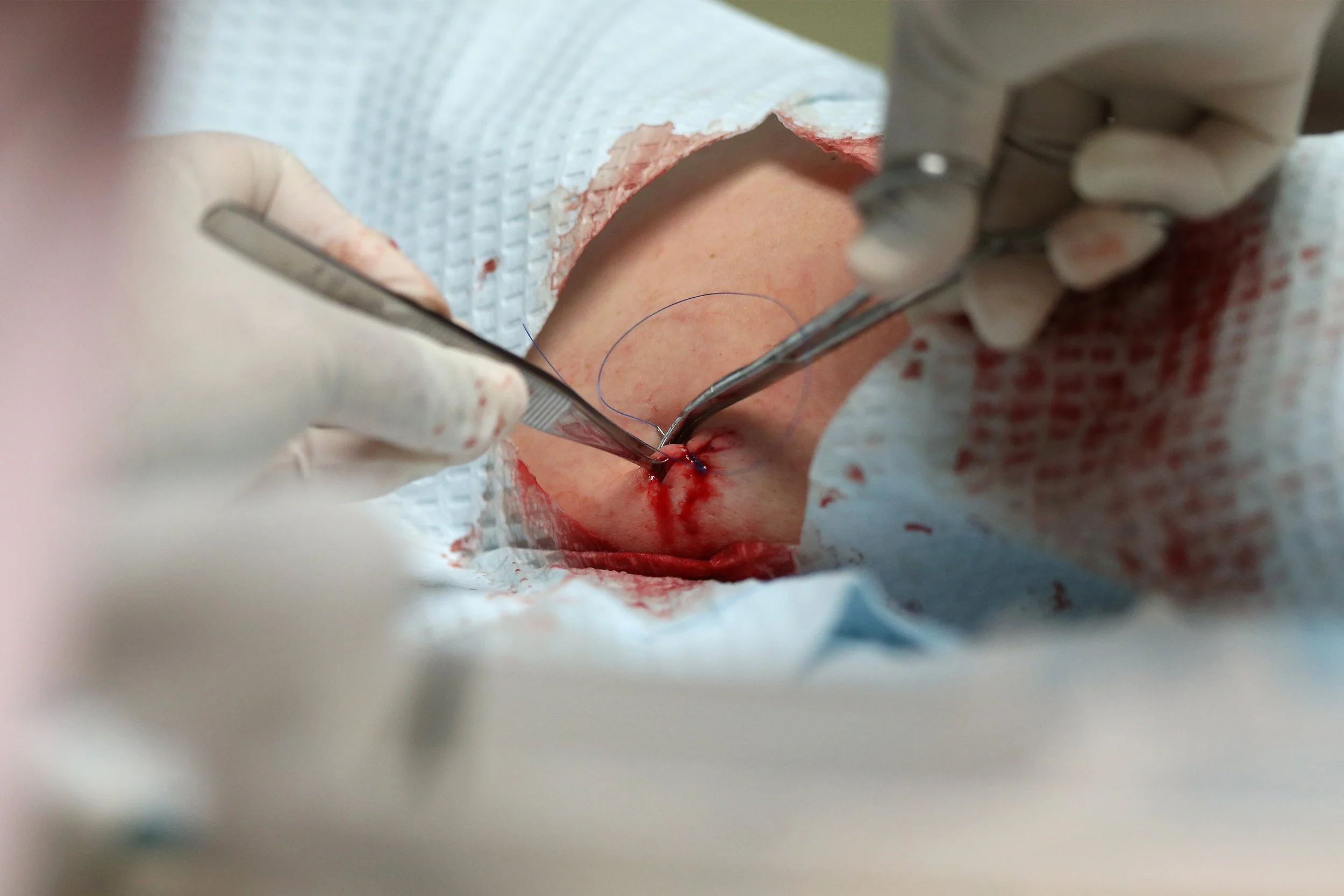 Northern Remote_86.jpg