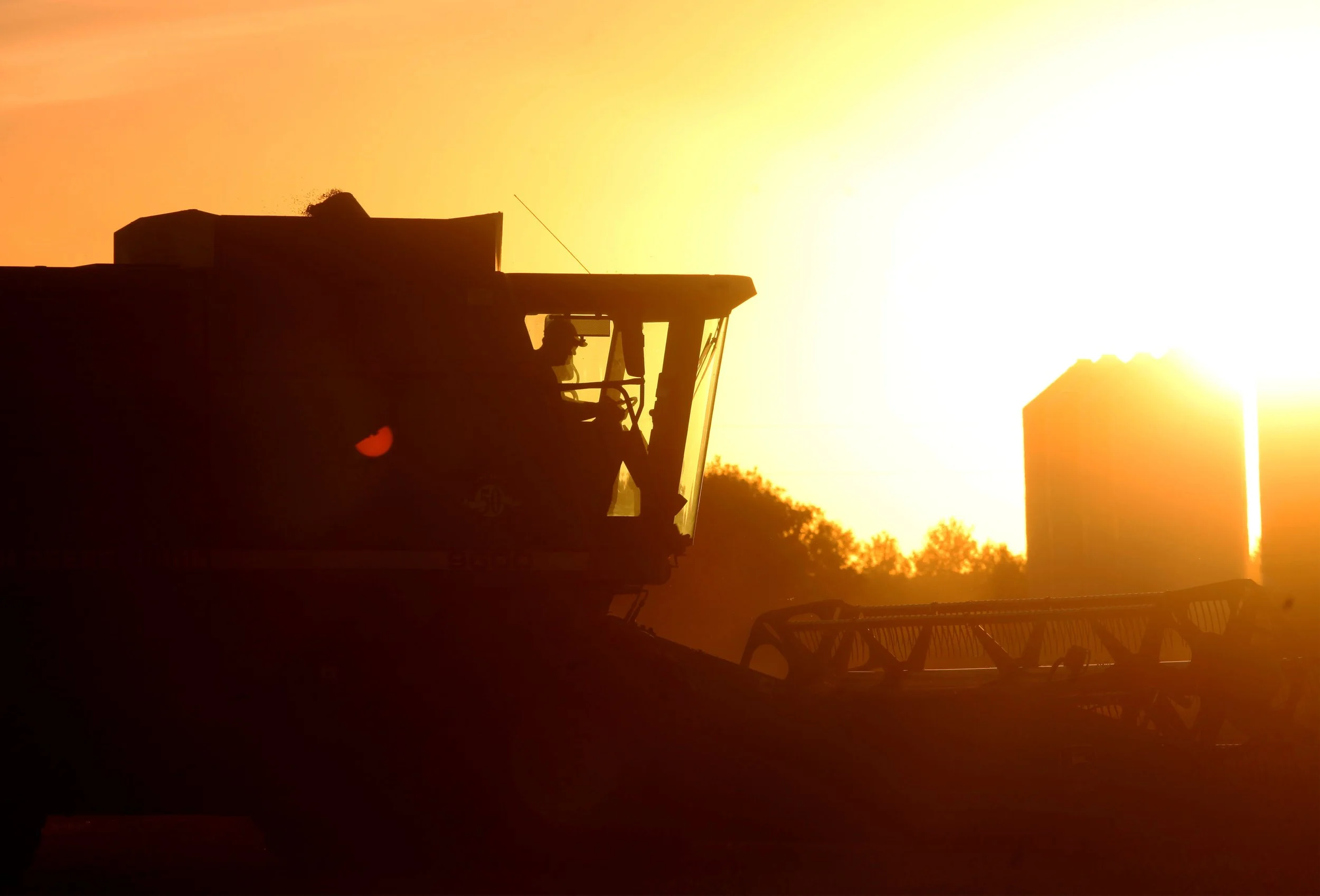 sv, oat harvest 2.jpg