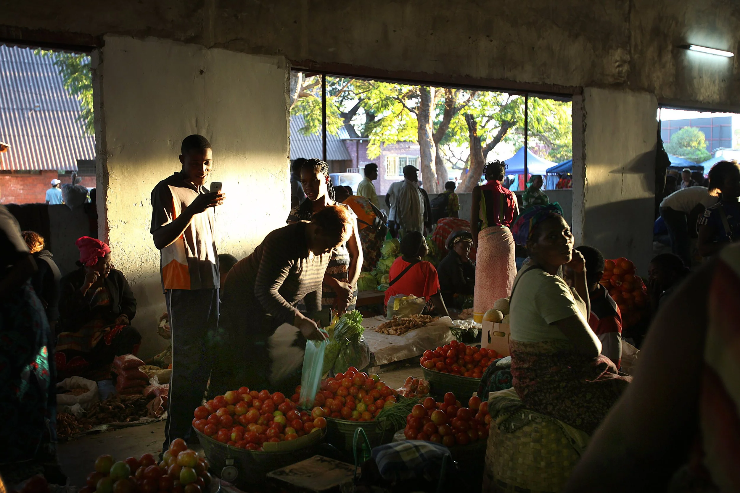 sv Zambia GMO story 7.jpg