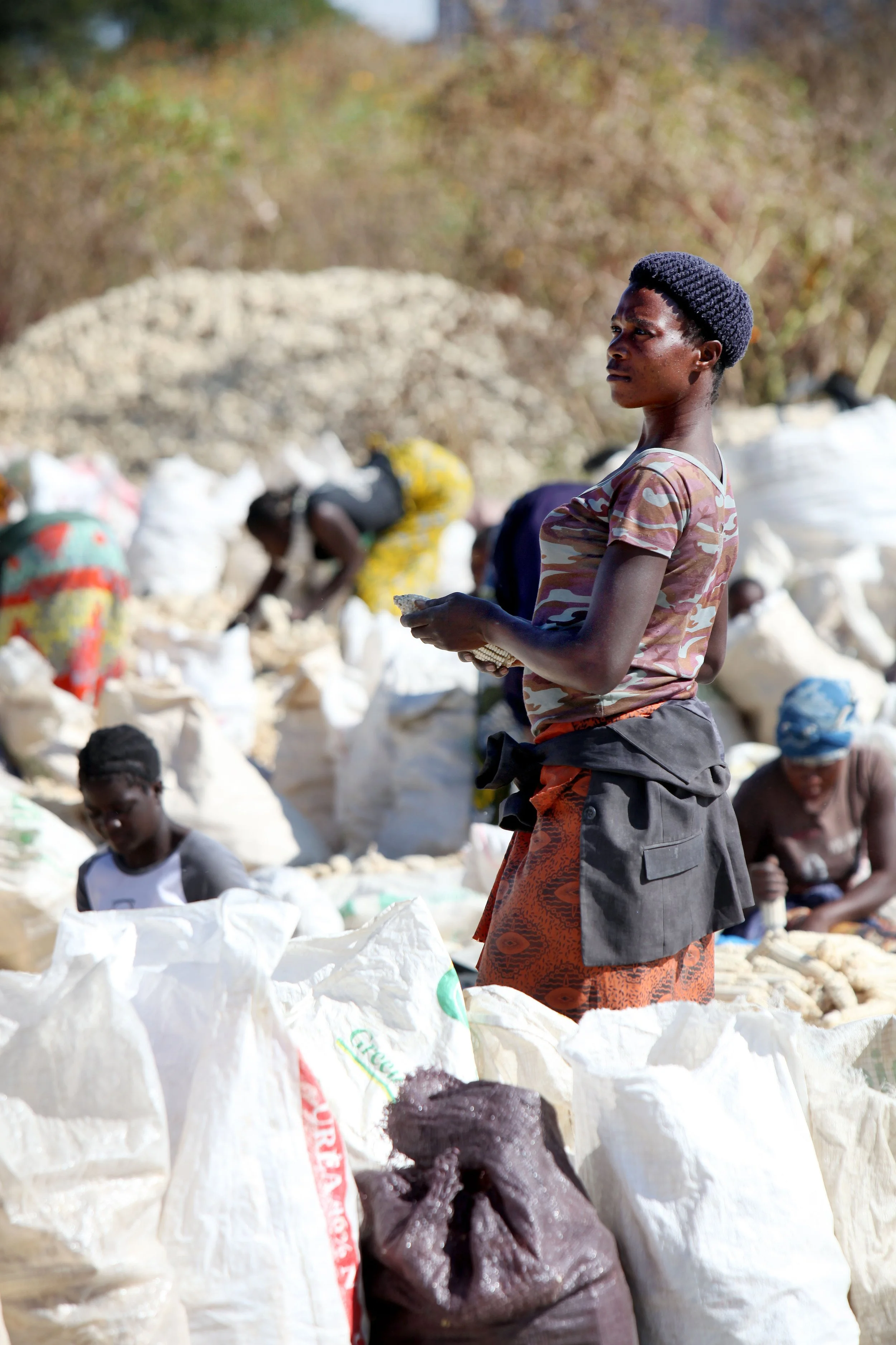 sv, Zambia corn 1.jpg