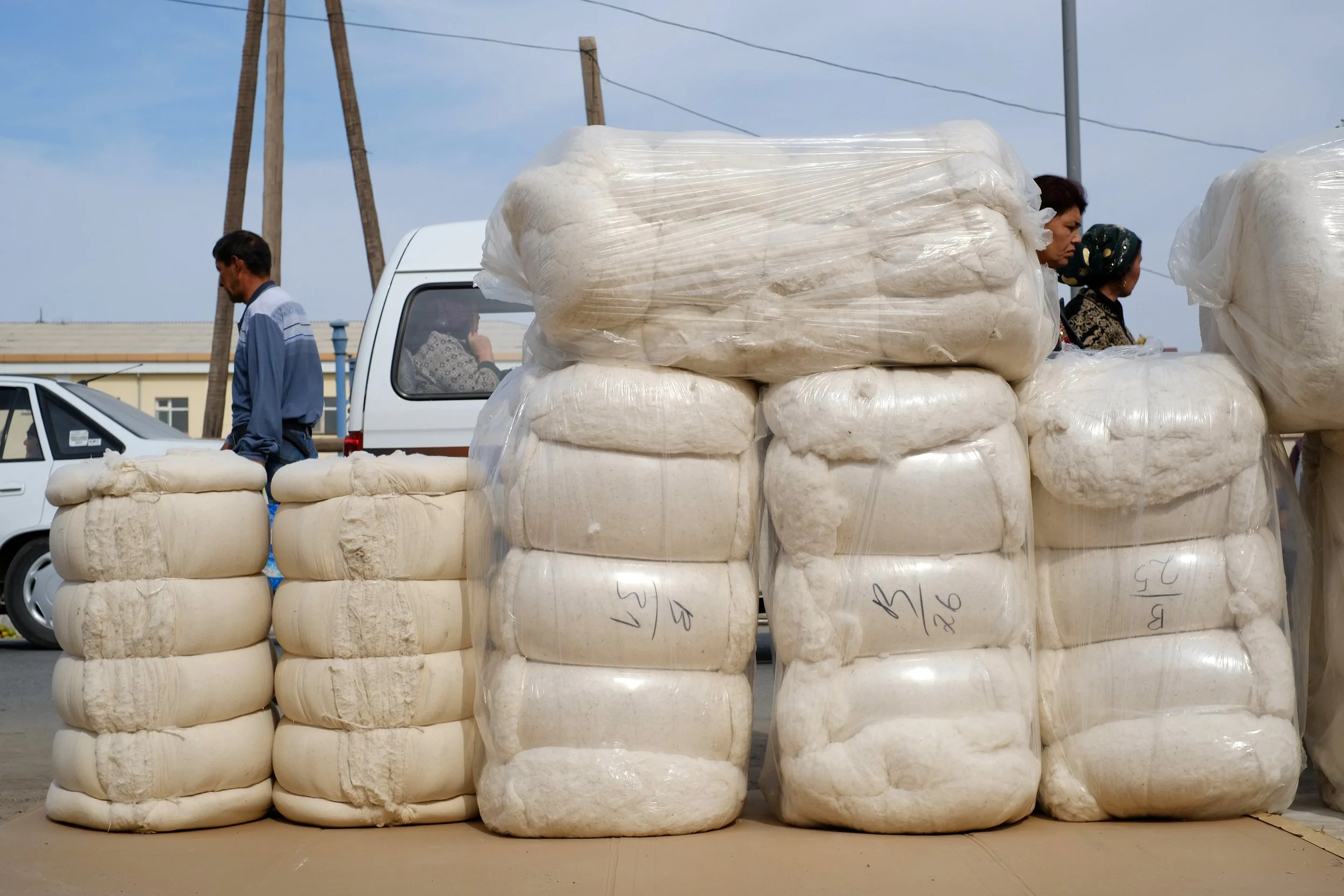 UZBEK_COTTON_6.jpg