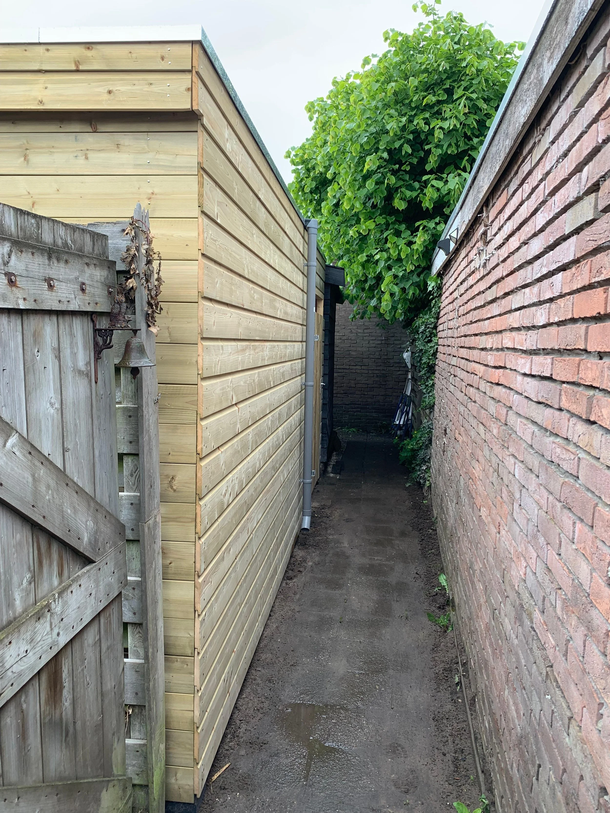Project GardenShed 5.jpeg
