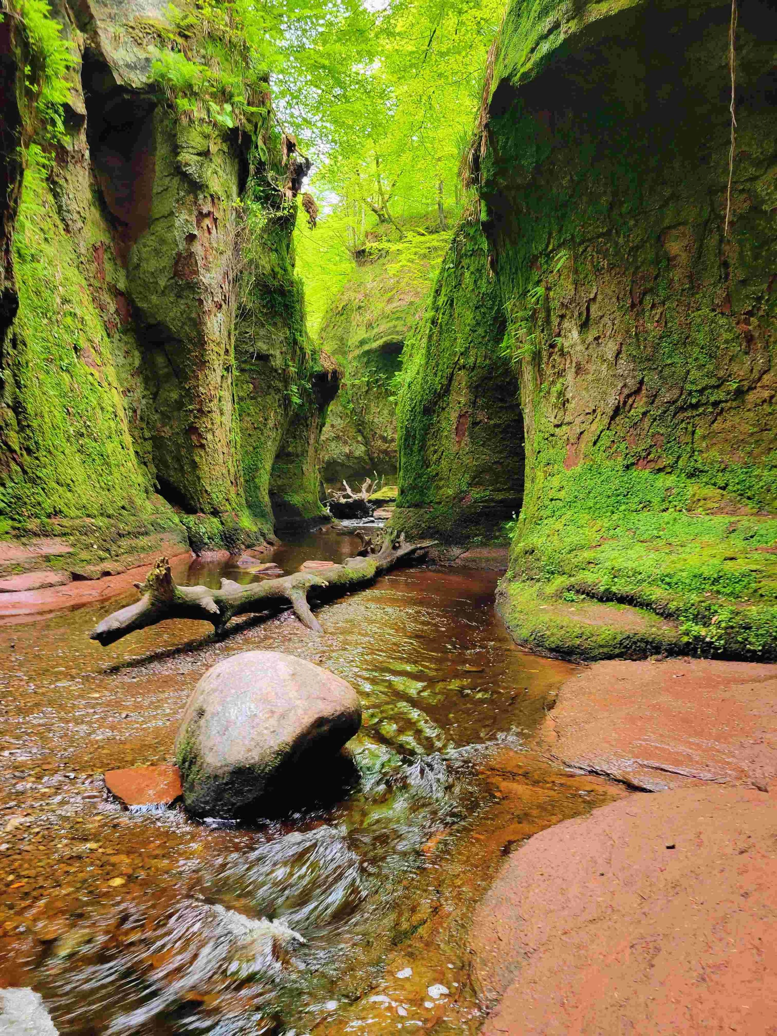 A narrow canyon with steep moss-covered rock walls and a small stream flowing through the center. Green foliage and trees are overhead, creating a canopy of bright green leaves.