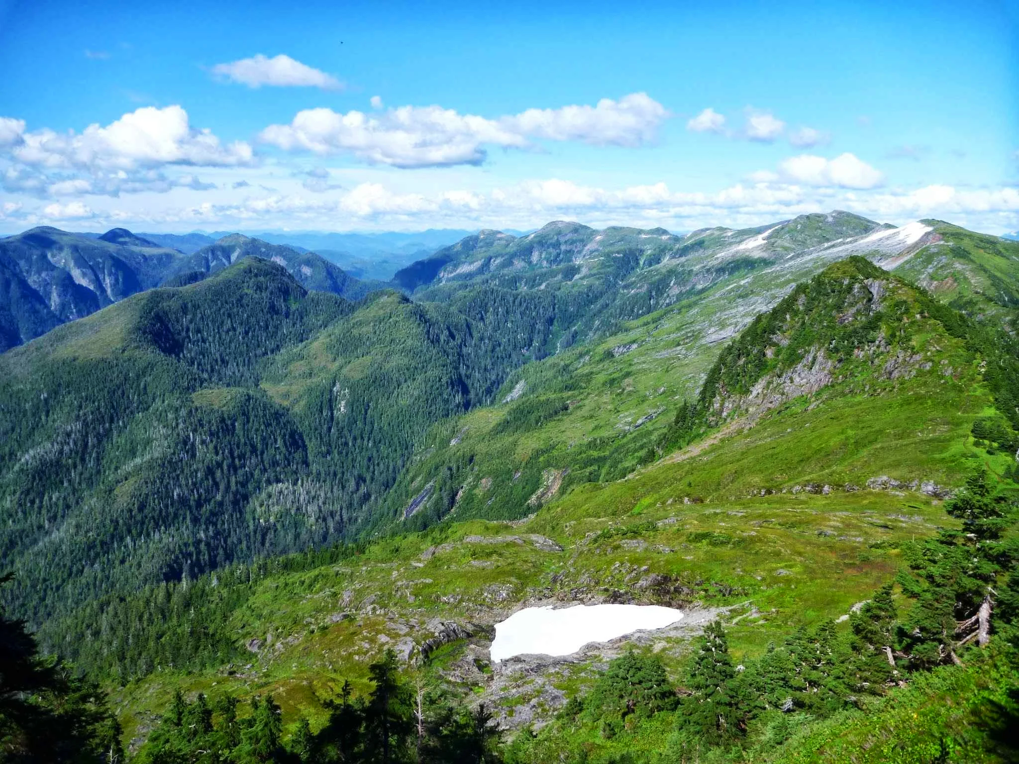 A mountain landscape with green hills, snow patches, dense forest, and a partly cloudy sky.