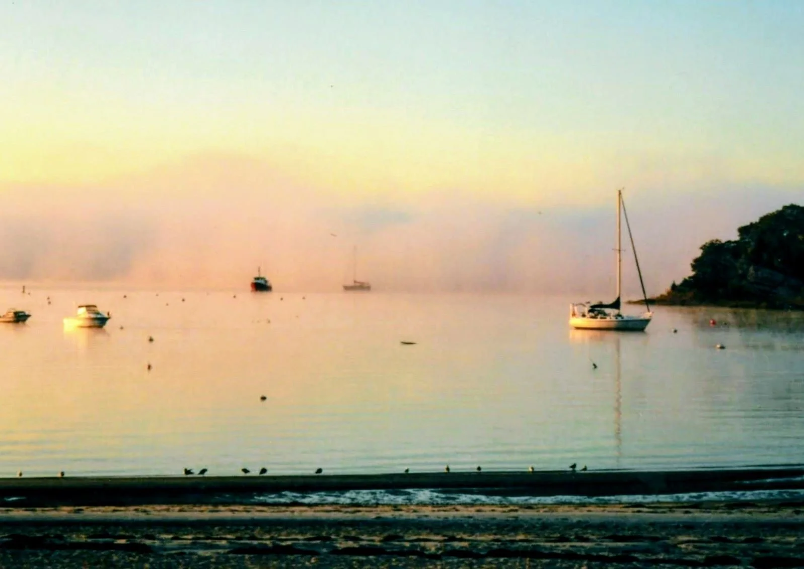 Calm water with several boats anchored near a small tree-covered island at dawn or dusk.