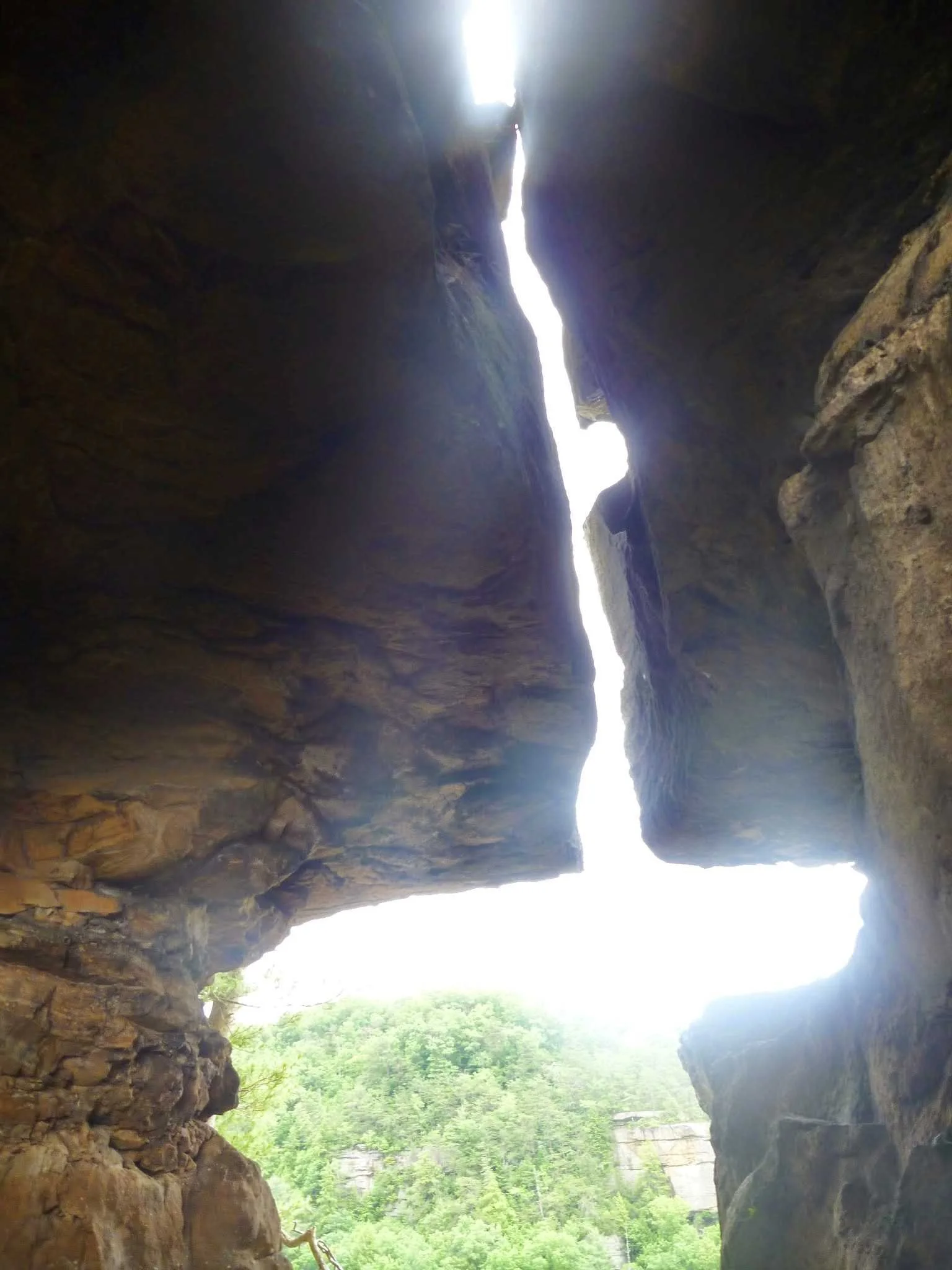 View from inside a rocky cave looking upward through a narrow opening to a sunny forested area outside.