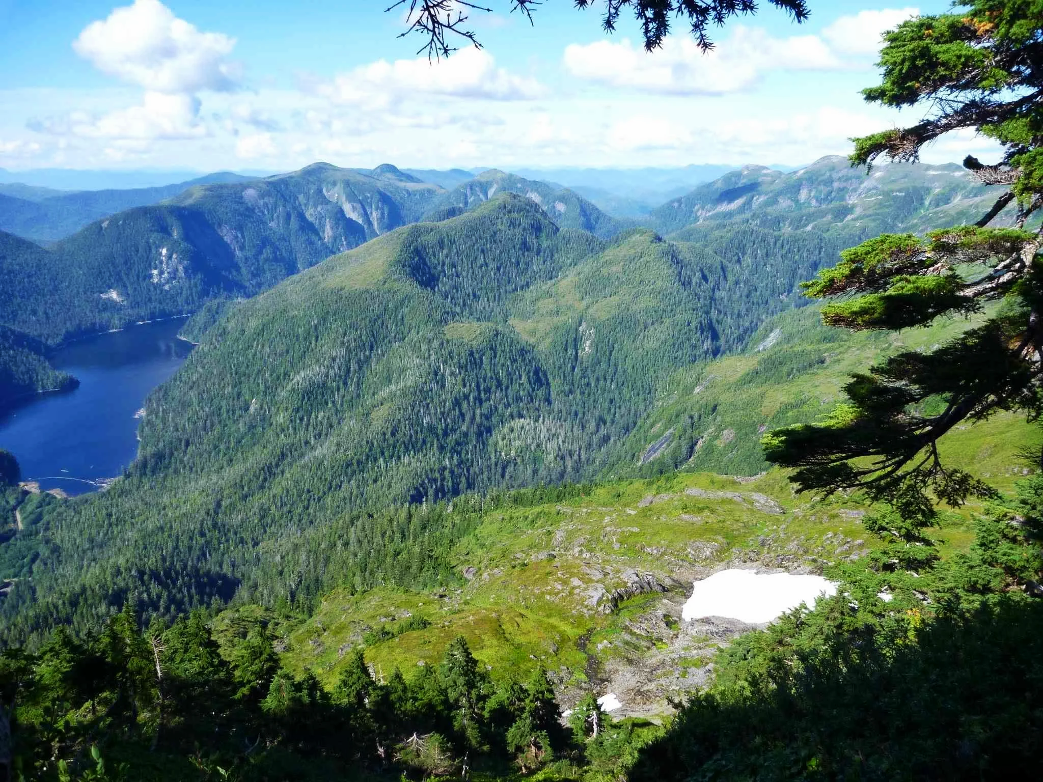 A scenic view of a mountain range with green forested peaks, a lake, and partly cloudy sky, with some tree branches visible in the foreground.