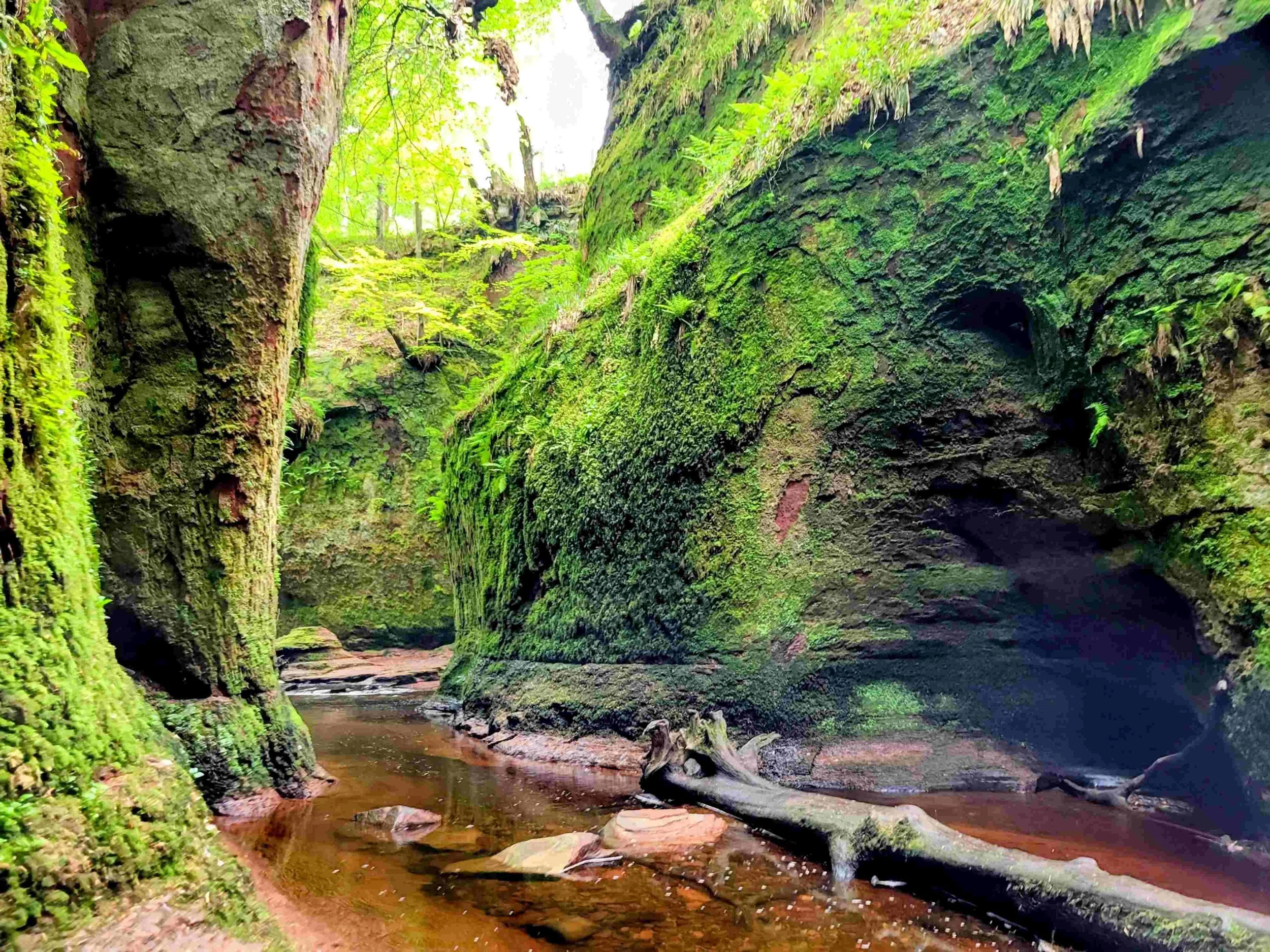 A hidden narrow canyon with moss-covered rock walls, small trees, and a shallow stream flowing through the center.