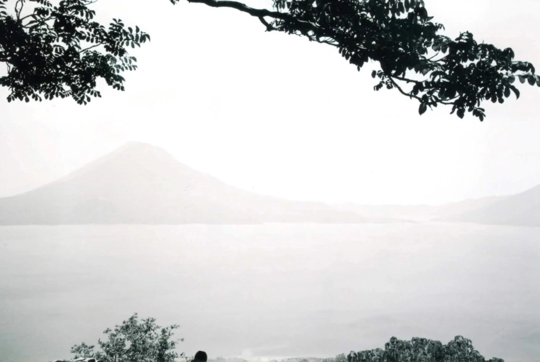 Silhouetted tree branches and leaves frame a hazy mountain in the distance, overlooking a large body of water, in a monochrome black and white tone.