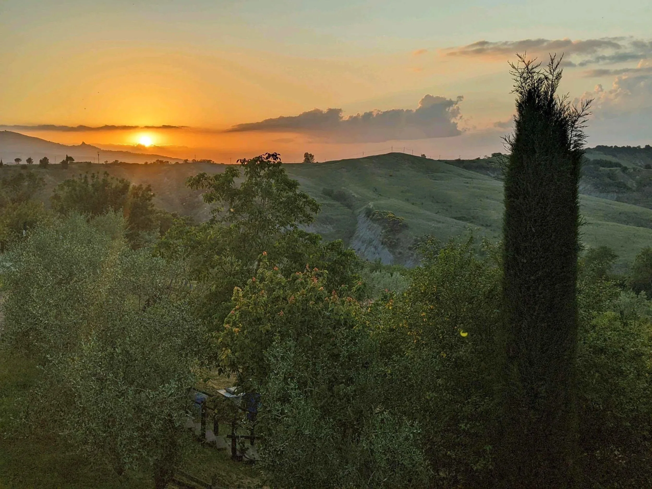 Sunset over rolling hills with a tall, dark cypress tree in the foreground, scattered trees, and clouds in the sky.