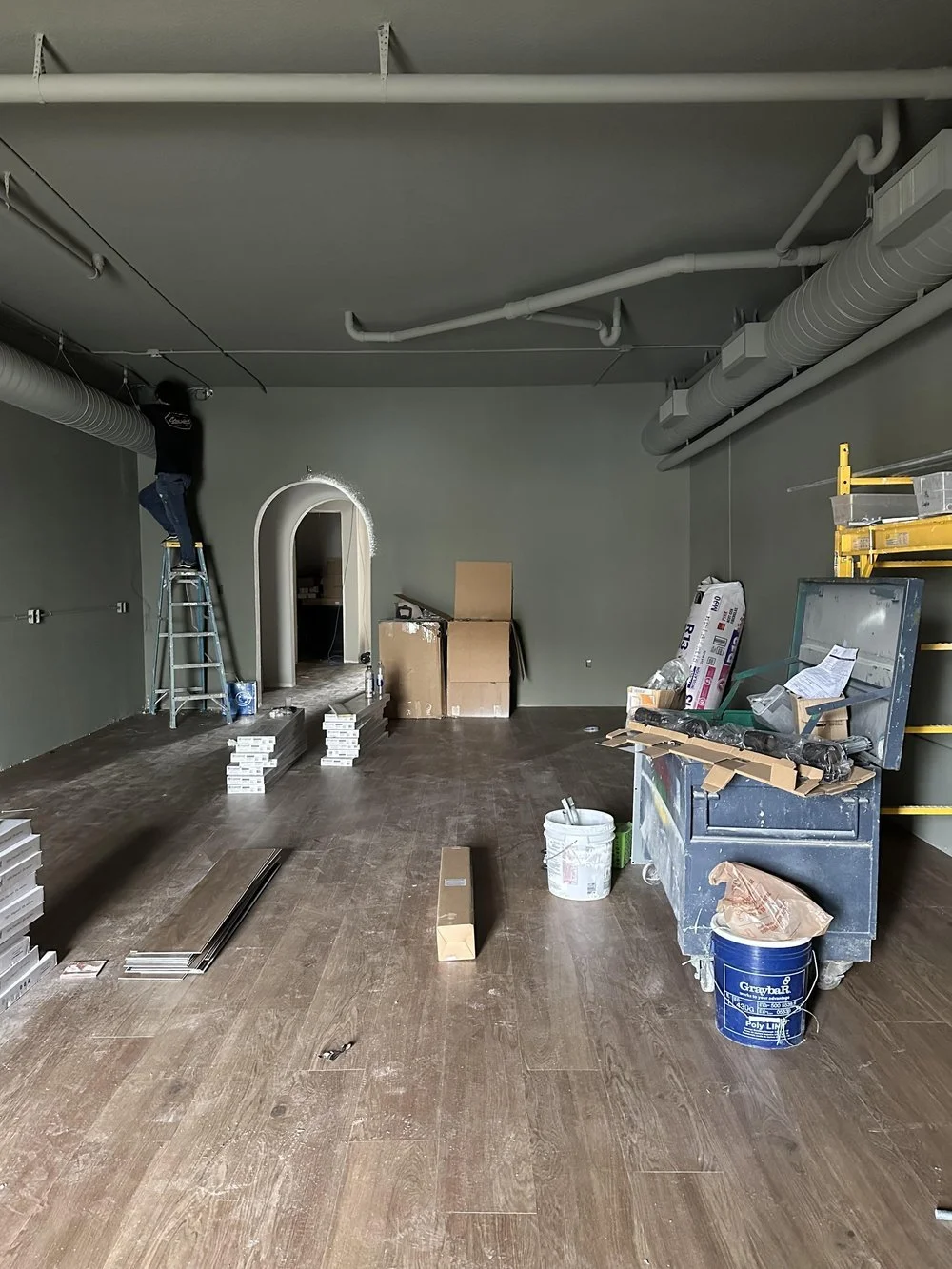 Renovations Winter Garden.jpg