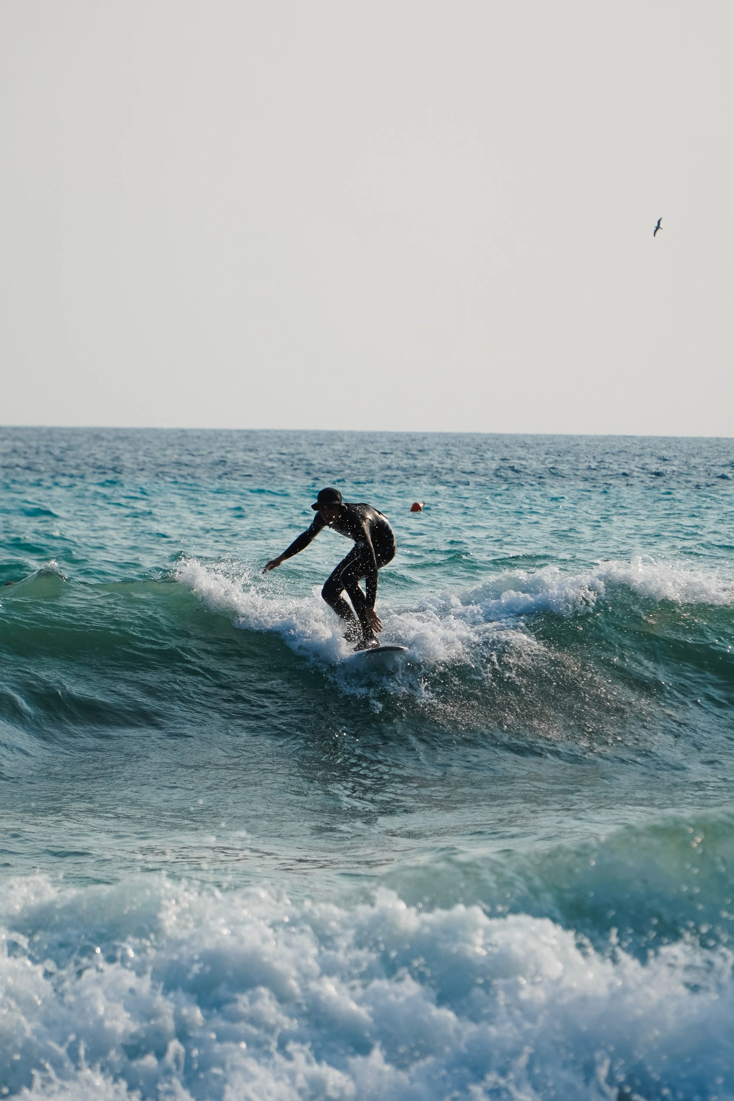 Menschen beim Surfen im Meer, Wellen und ein Vogel am Himmel