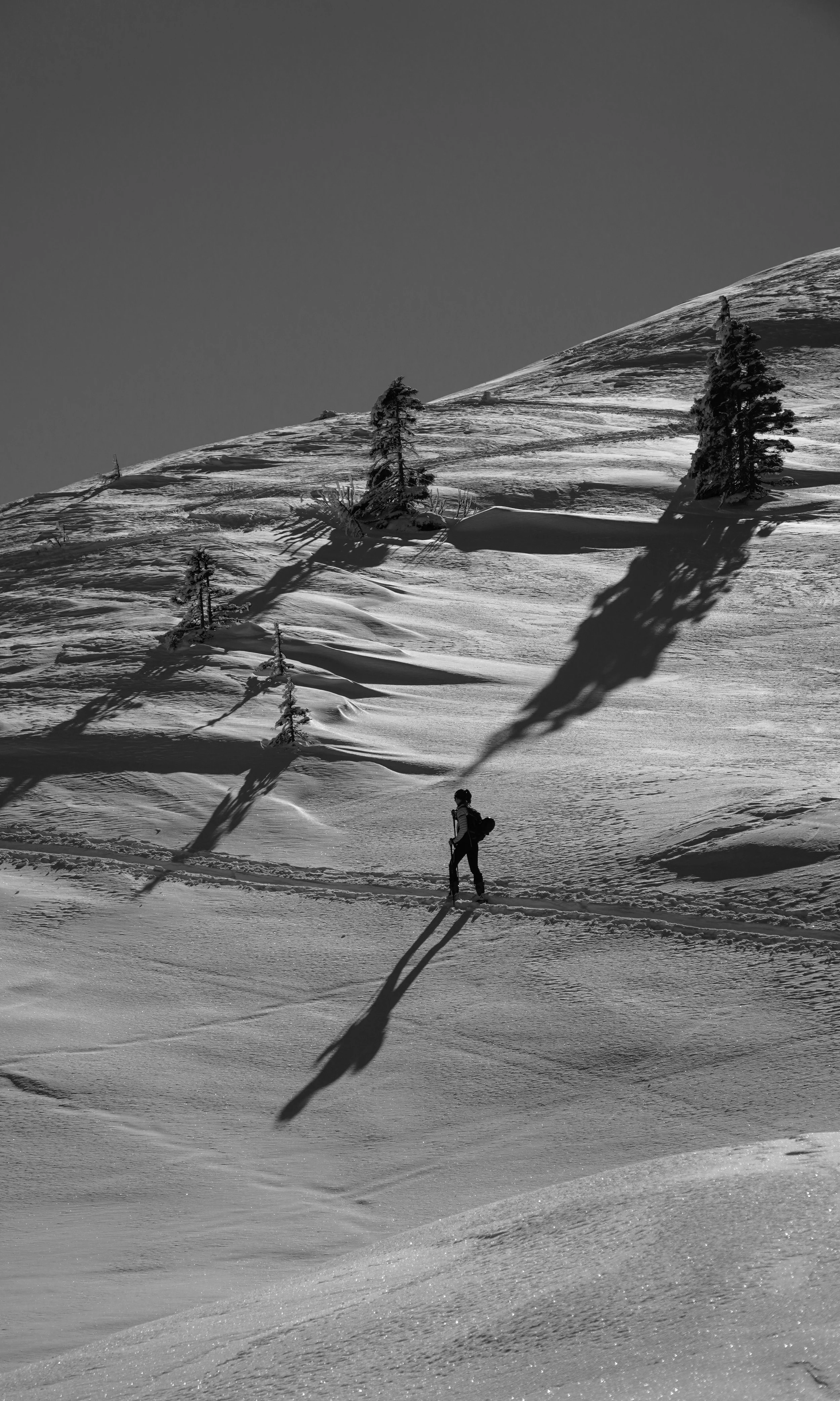 Ein einsamer Skifahrer in einer verschneiten Gebirgslandschaft mit sanduhrförmigen Schneespuren und Bäumen, die Schatten auf den Schnee werfen.
