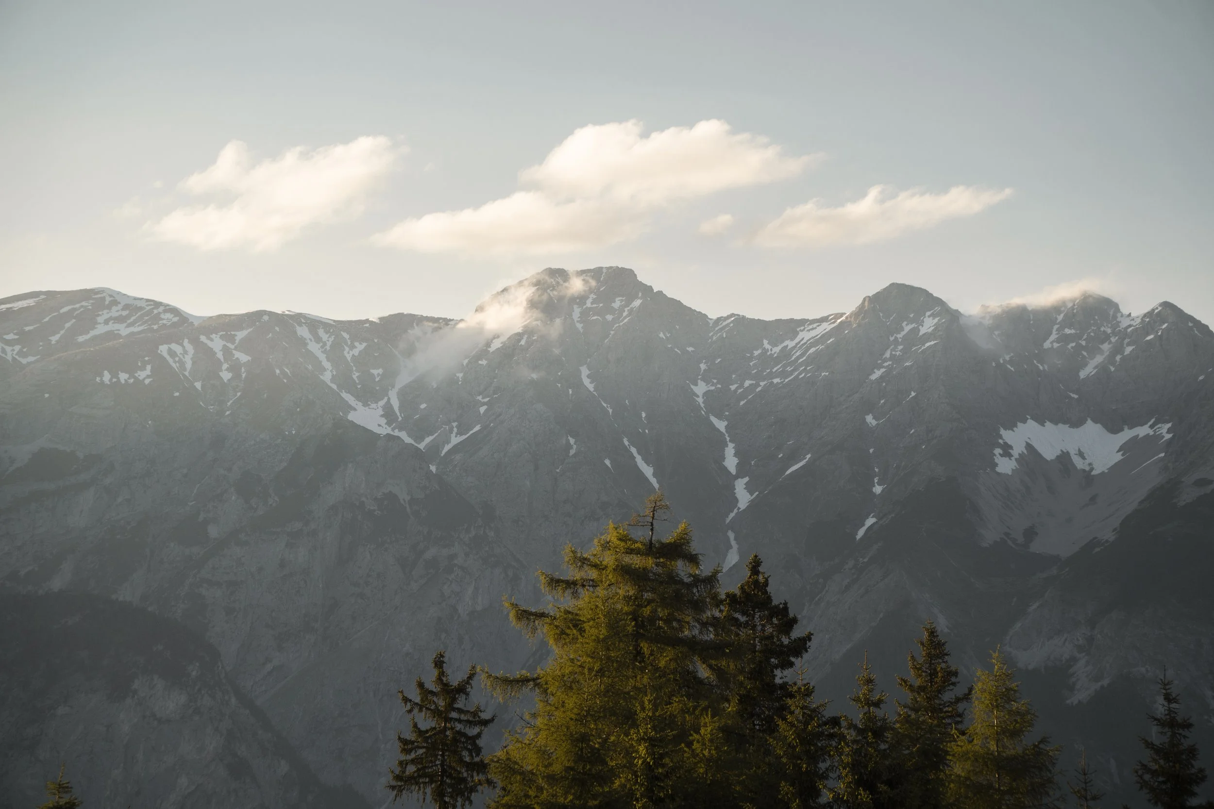 Berglandschaft mit schneebedeckten Gipfeln und Tannen im Vordergrund.