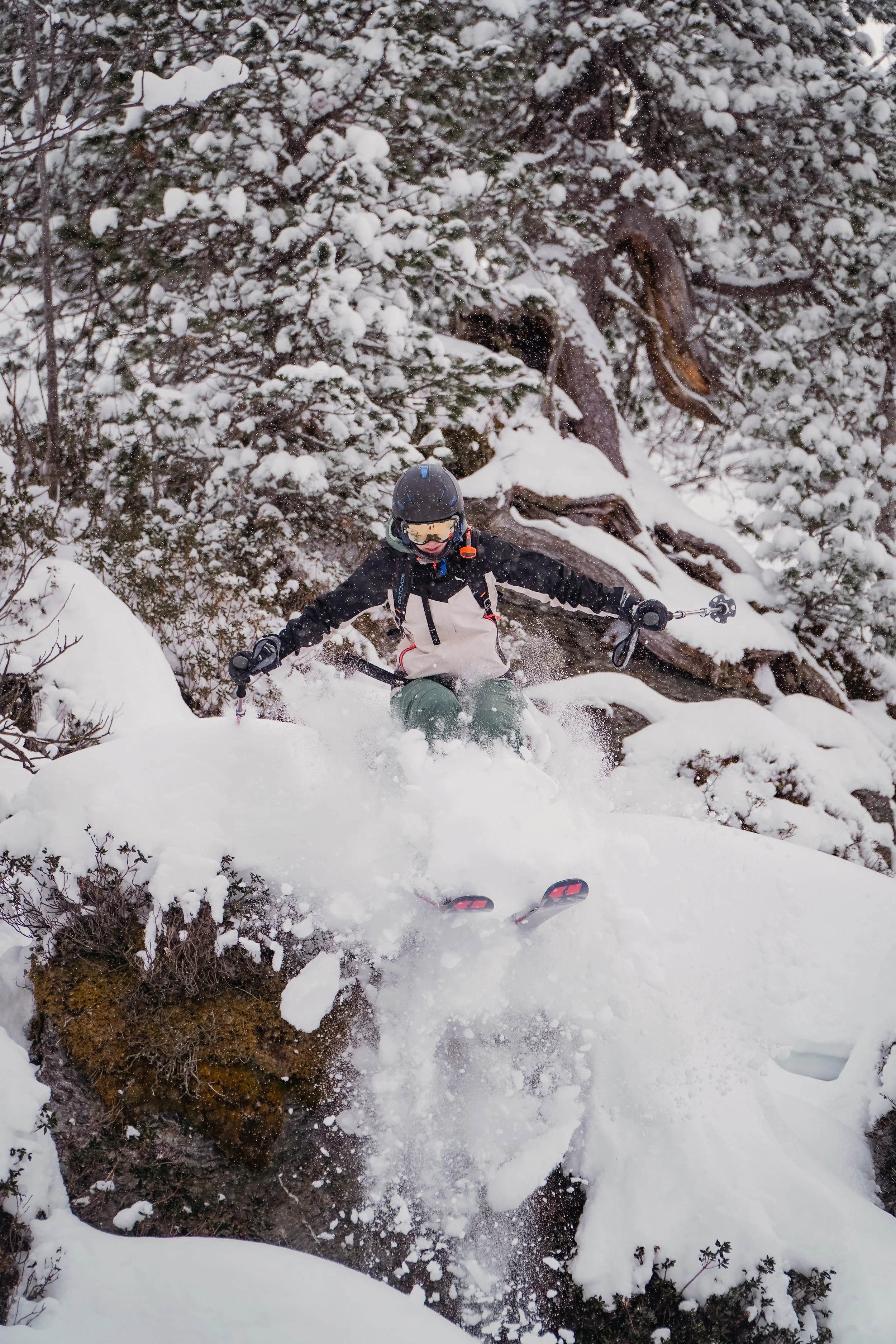 Skifahrer springt von einem verschneiten Felsen im Wald, umgeben von schneebedeckten Bäumen.