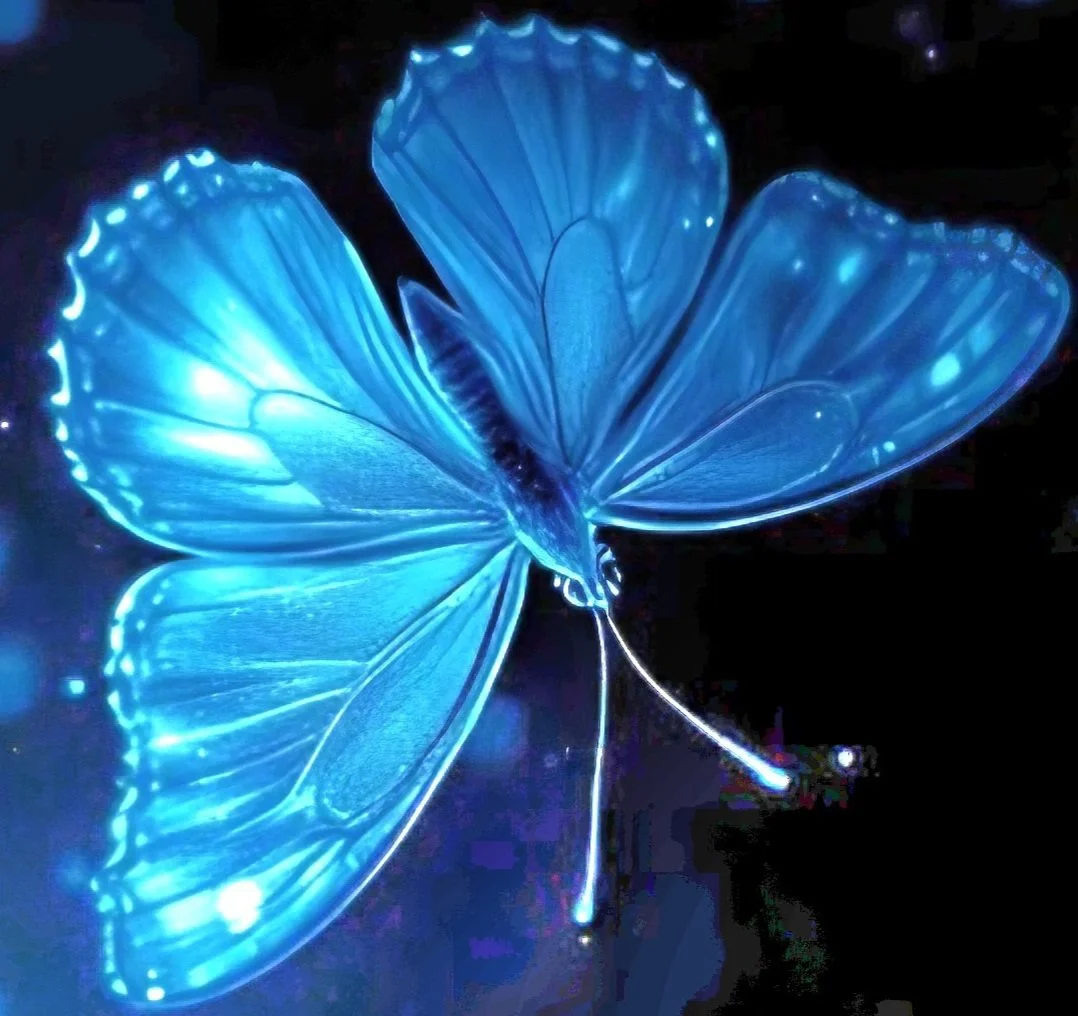 Lichtschmetterling mit leuchtend blauen Flügeln vor dunklem Hintergrund.