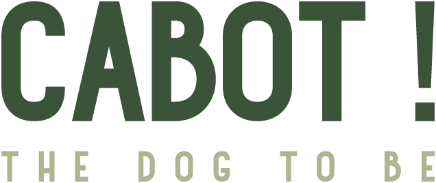 Texte en vert indiquant 'CABOT! THE DOG TO BE' sur fond noir.