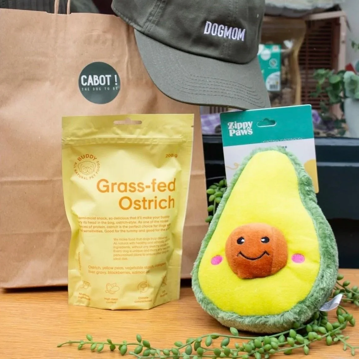 Un sac de nourriture pour oiseaux au nom de 'Grass-fed Ostrich', un jouet en forme d'avocat avec un visage souriant, un chapeau gris avec le mot 'DOGMOM', une grande feuille verte décorative, et un sac en papier marron avec un logo 'CABOT !'.