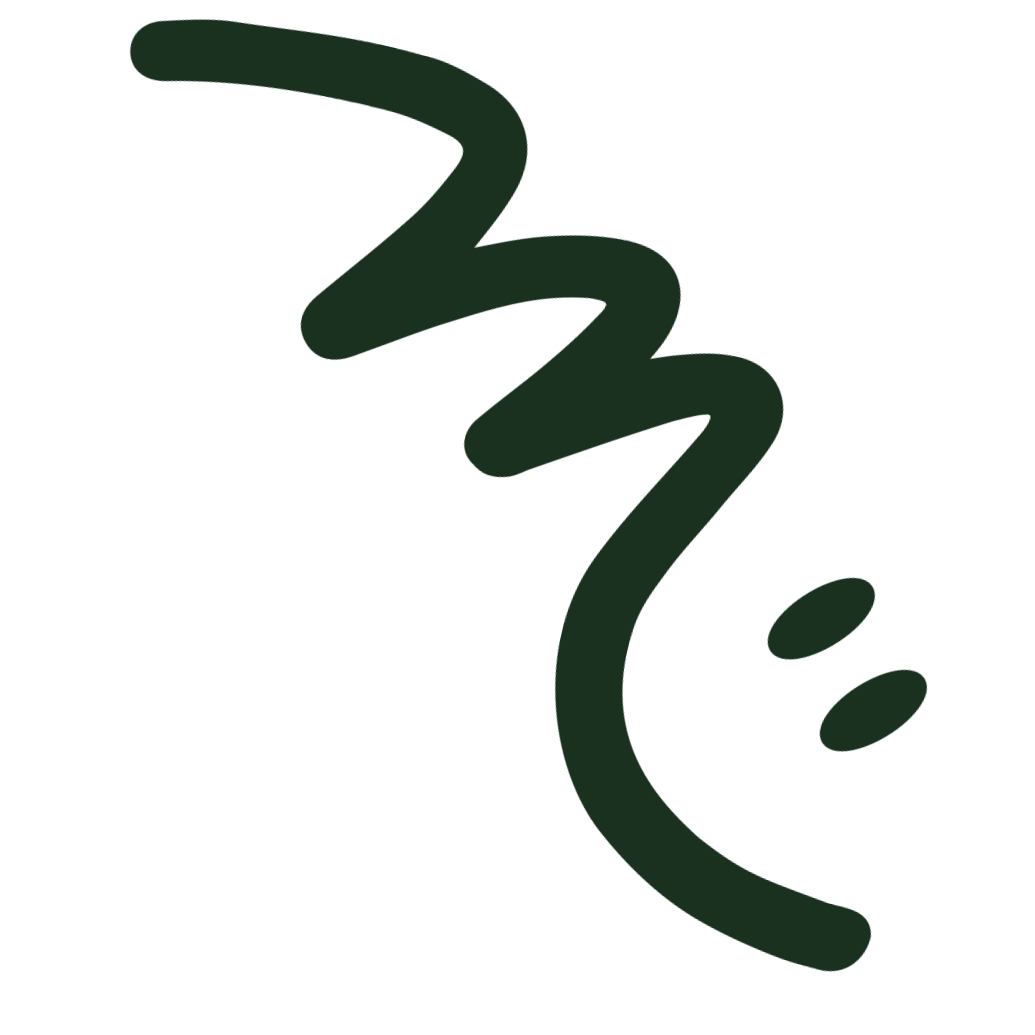 Un dessin minimaliste en ligne verte représentant un visage souriant avec un zigzag comme cheveux.