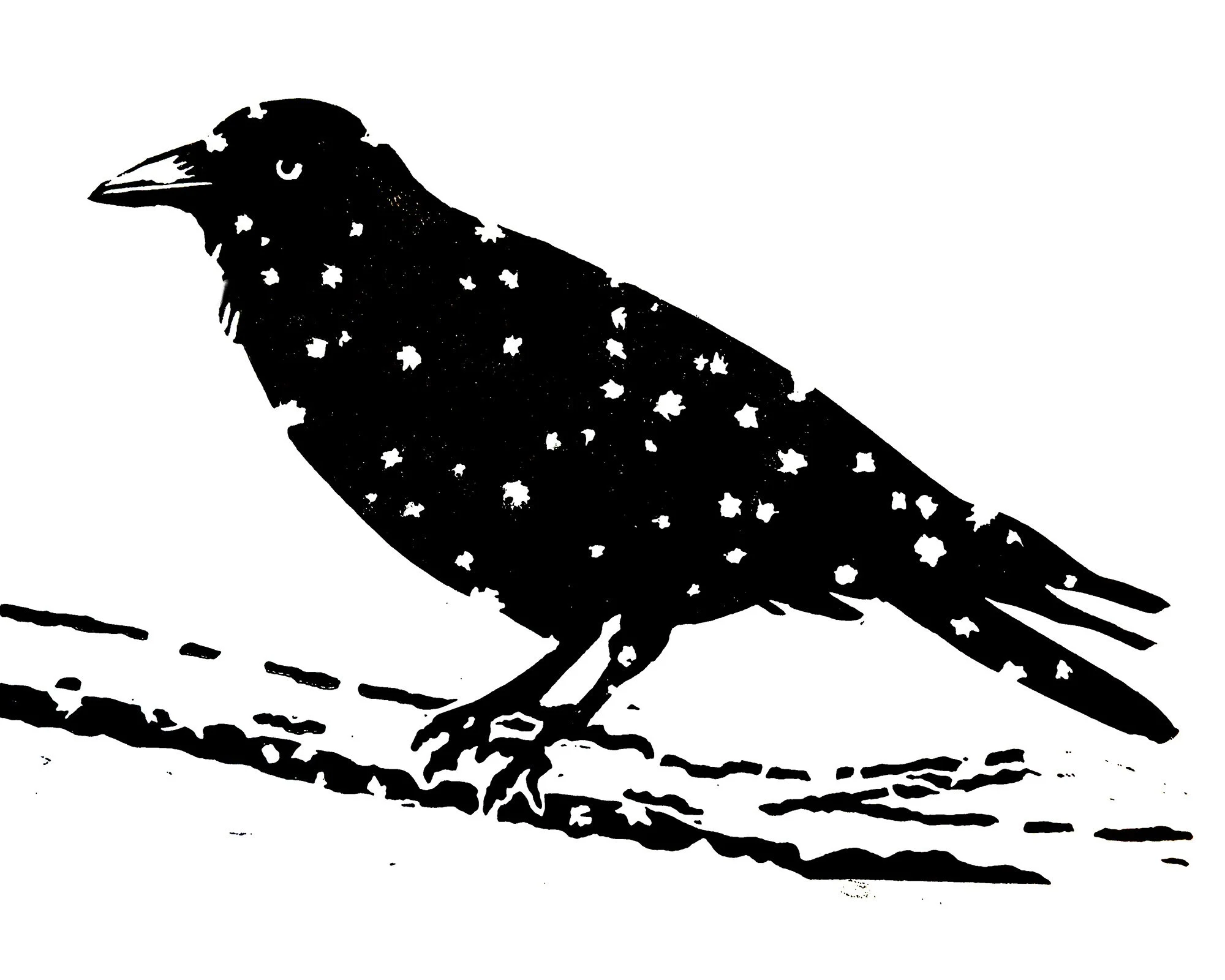 "Crow in the Snow". Lino block print. 8" x 10" image on 10” x 12” paper. 