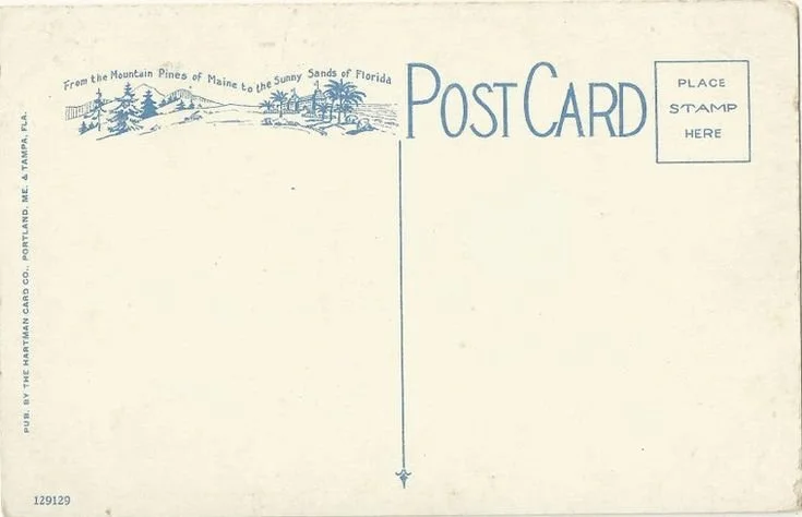 Vintage postcard with a blank space for a stamp and message, featuring a scenic illustration of mountain pines in Maine and sunny Florida in blue ink.